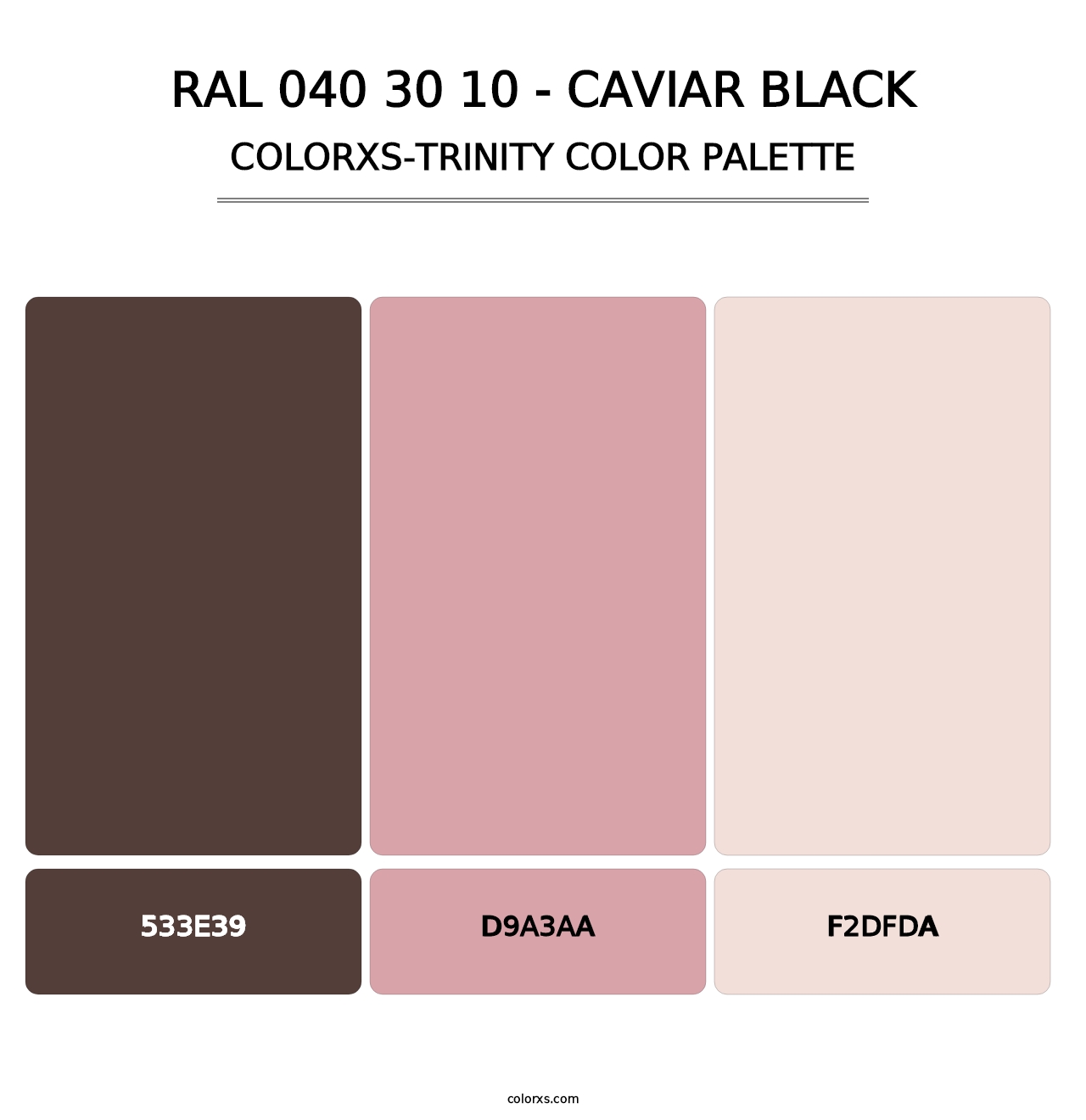 RAL 040 30 10 - Caviar Black - Colorxs Trinity Palette
