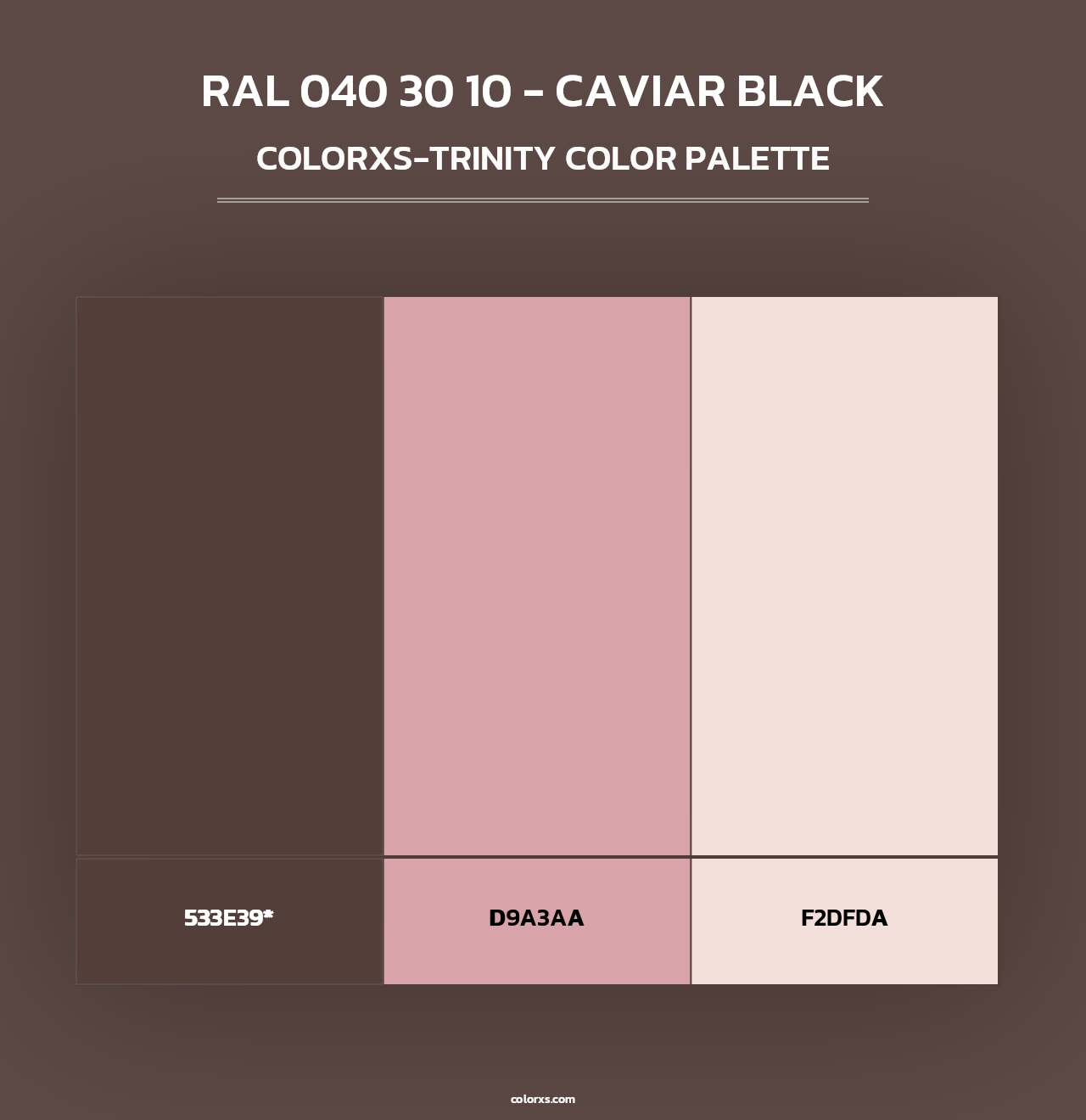 RAL 040 30 10 - Caviar Black - Colorxs Trinity Palette