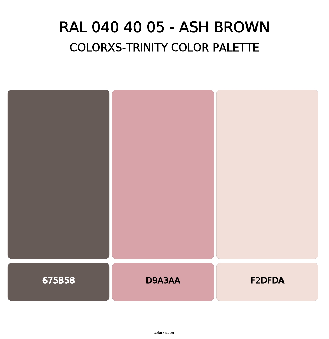 RAL 040 40 05 - Ash Brown - Colorxs Trinity Palette