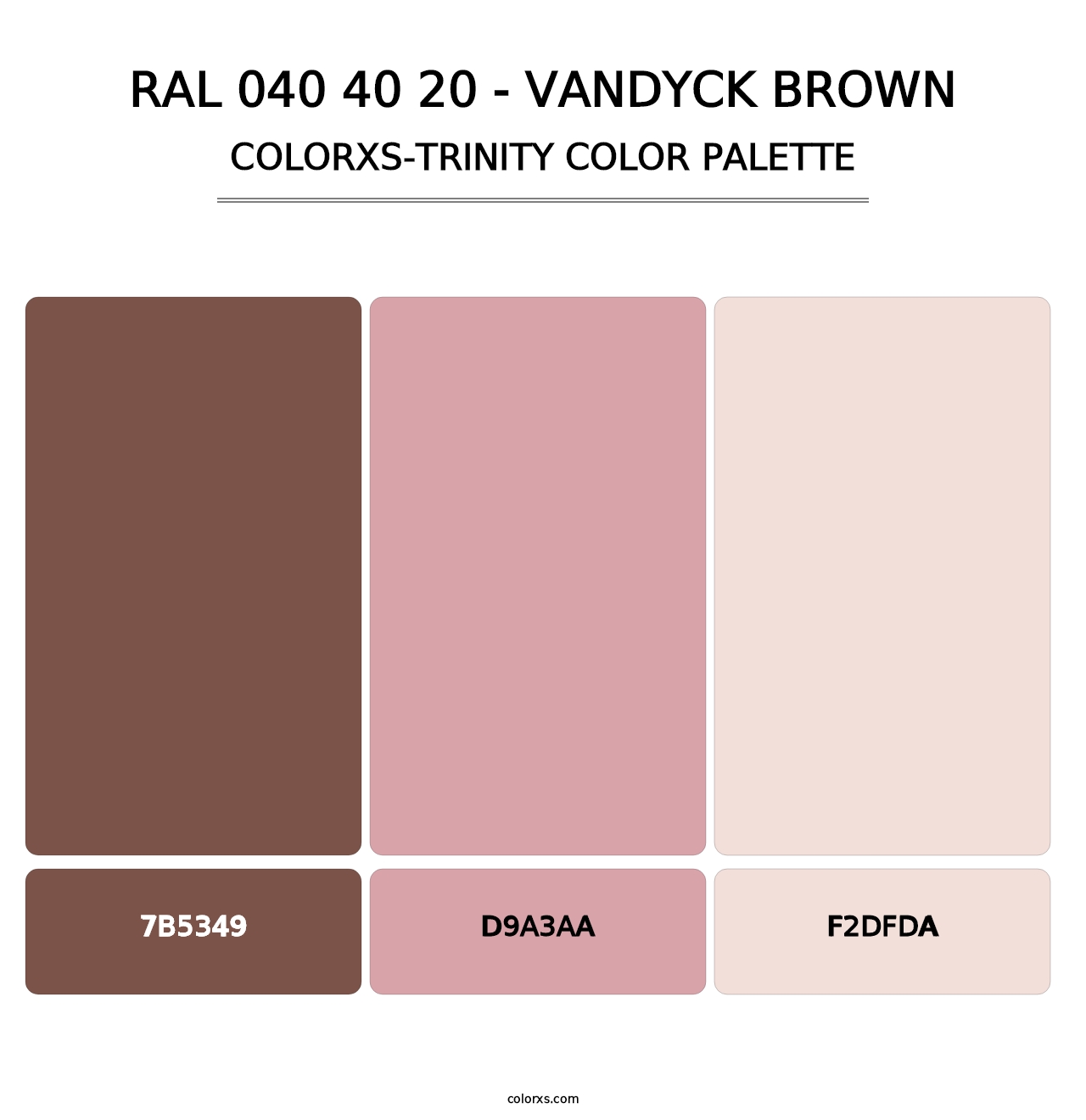 RAL 040 40 20 - Vandyck Brown - Colorxs Trinity Palette