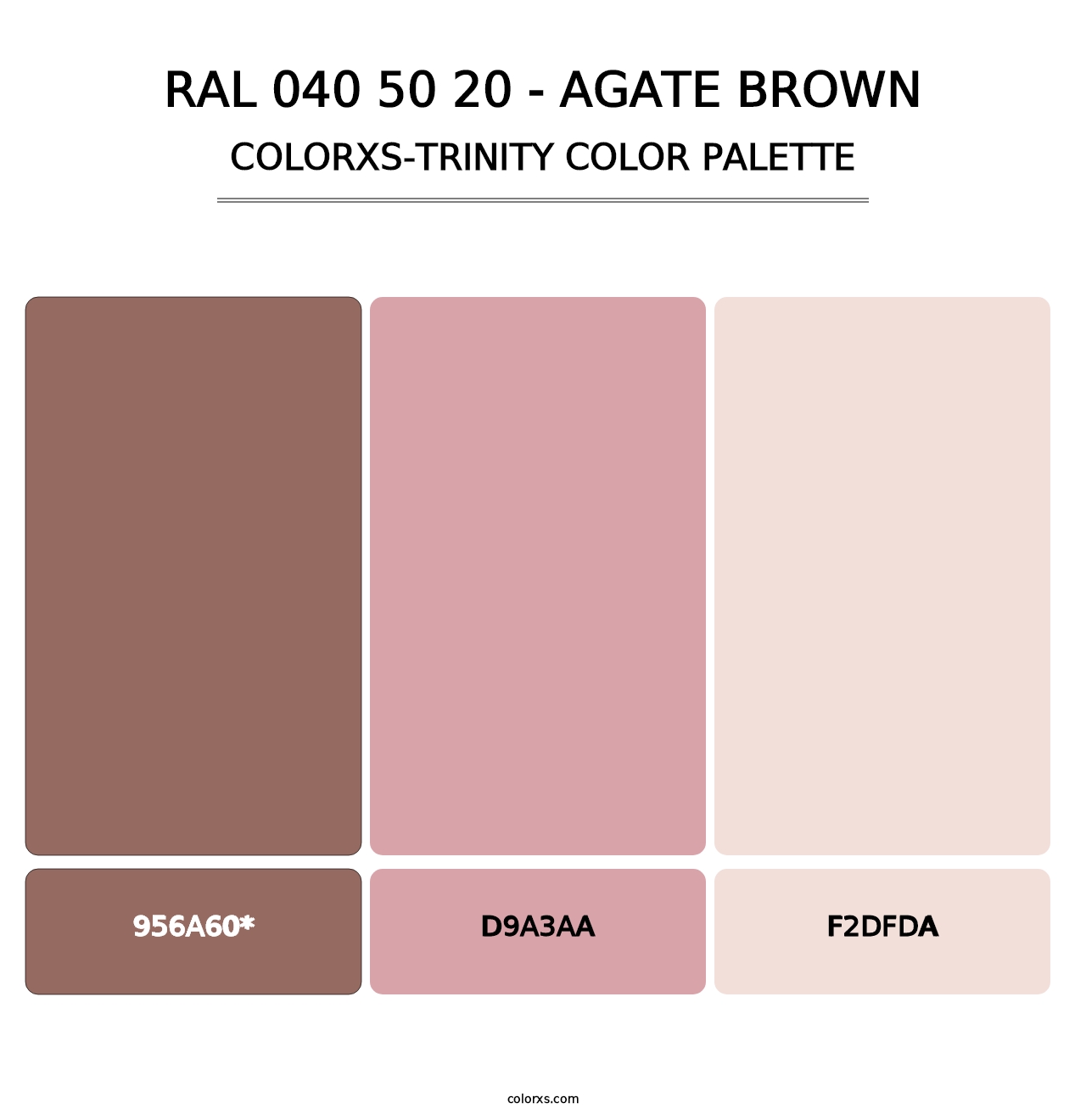 RAL 040 50 20 - Agate Brown - Colorxs Trinity Palette
