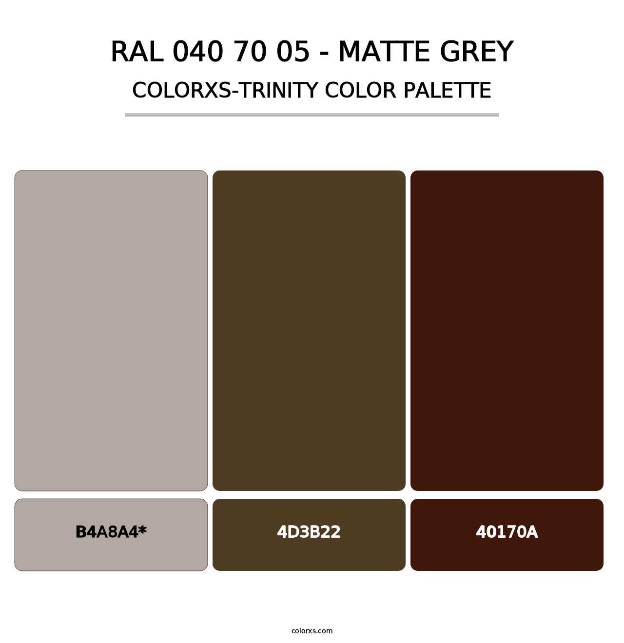 RAL 040 70 05 - Matte Grey - Colorxs Trinity Palette