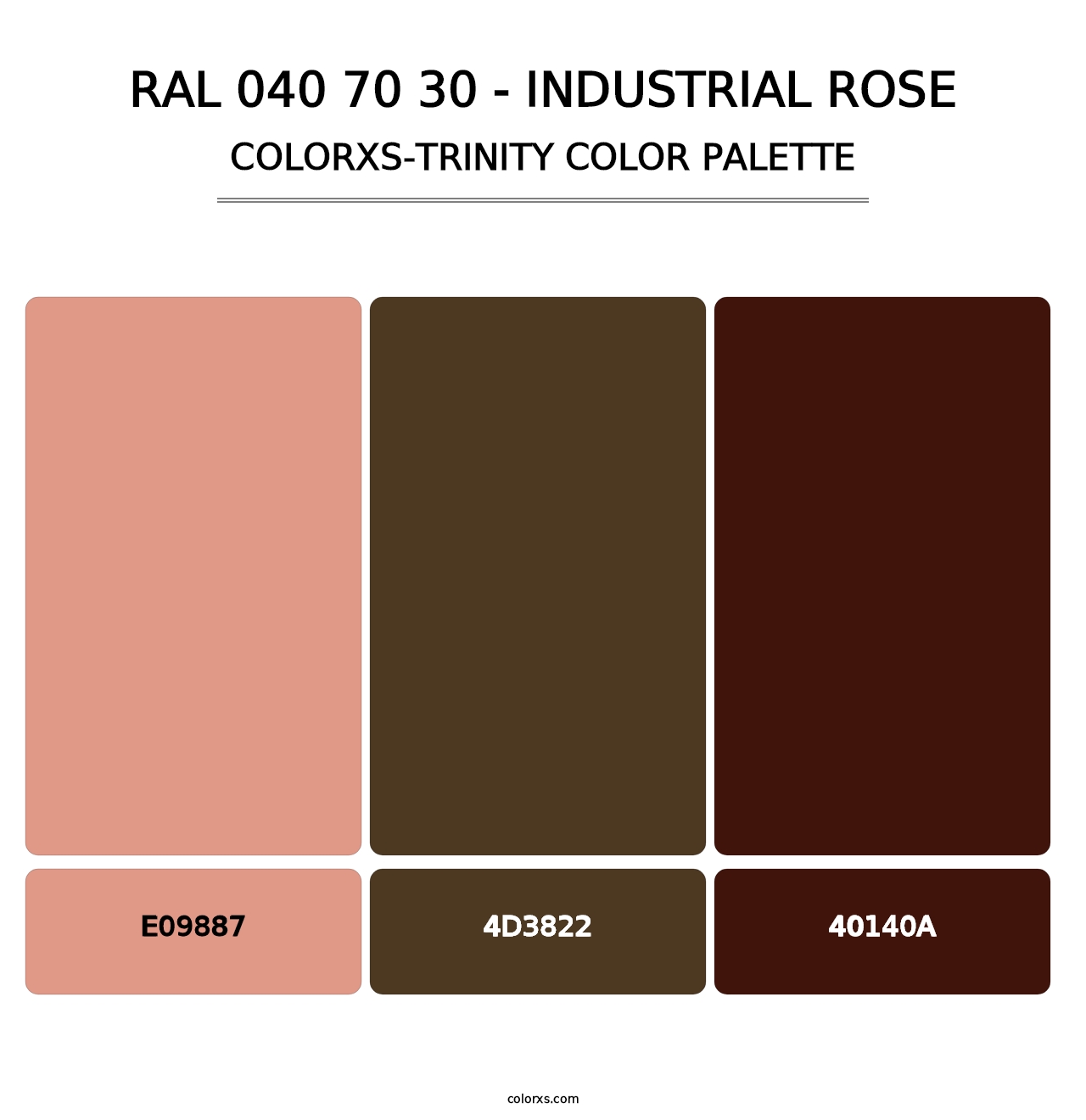 RAL 040 70 30 - Industrial Rose - Colorxs Trinity Palette