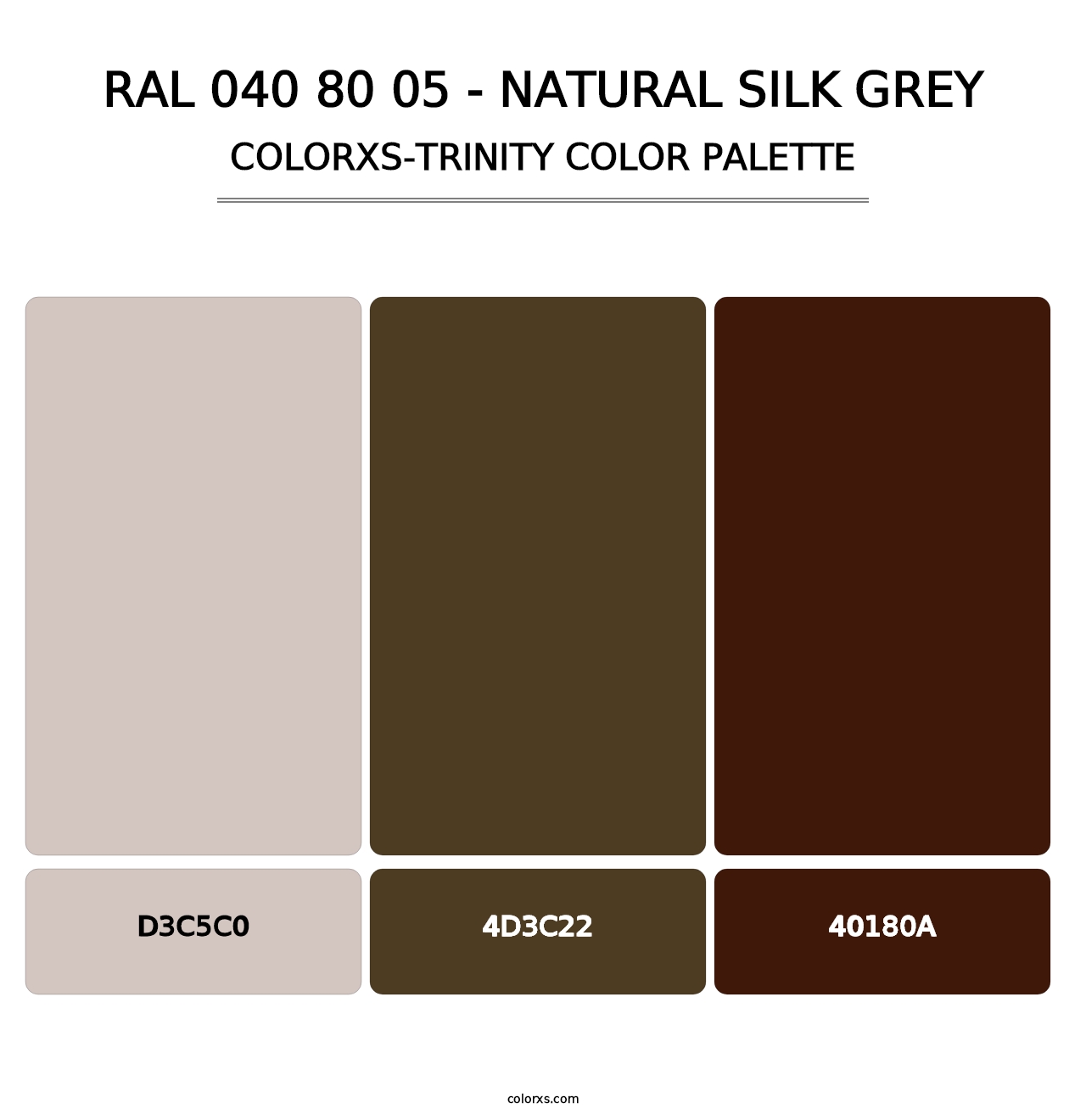 RAL 040 80 05 - Natural Silk Grey - Colorxs Trinity Palette