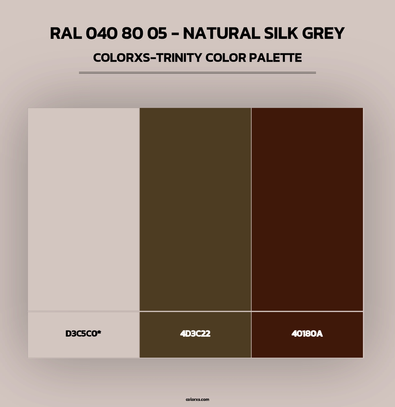 RAL 040 80 05 - Natural Silk Grey - Colorxs Trinity Palette