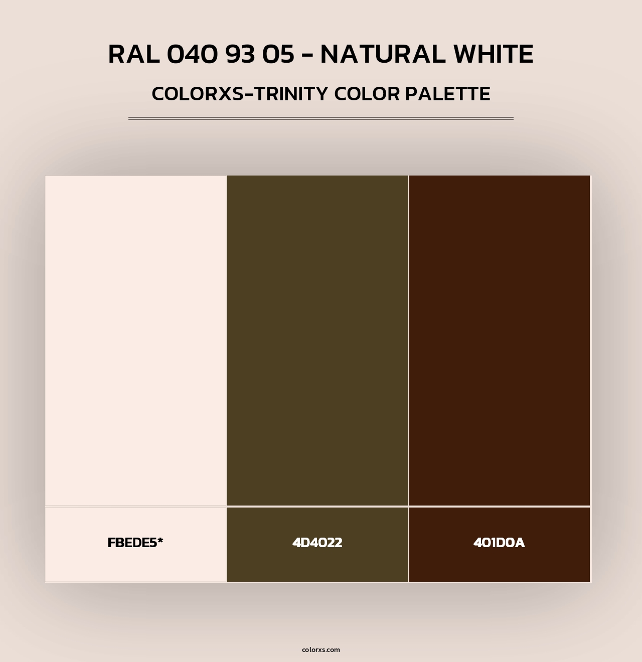 RAL 040 93 05 - Natural White - Colorxs Trinity Palette
