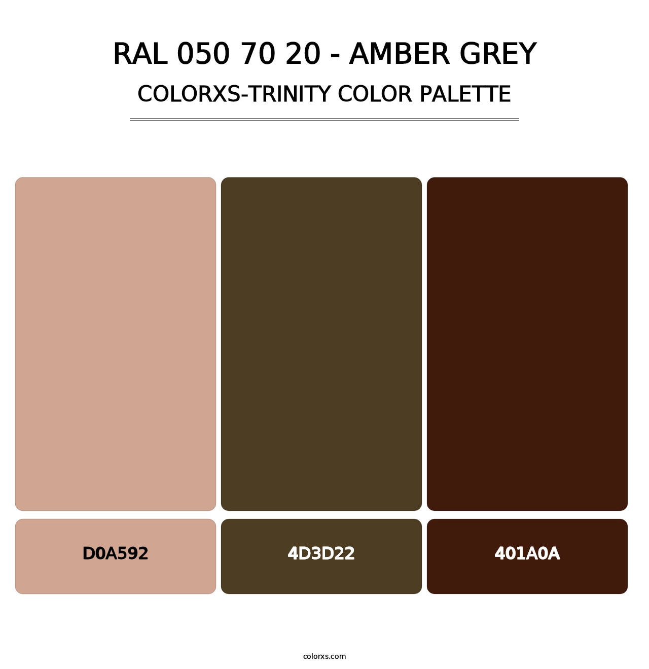 RAL 050 70 20 - Amber Grey - Colorxs Trinity Palette