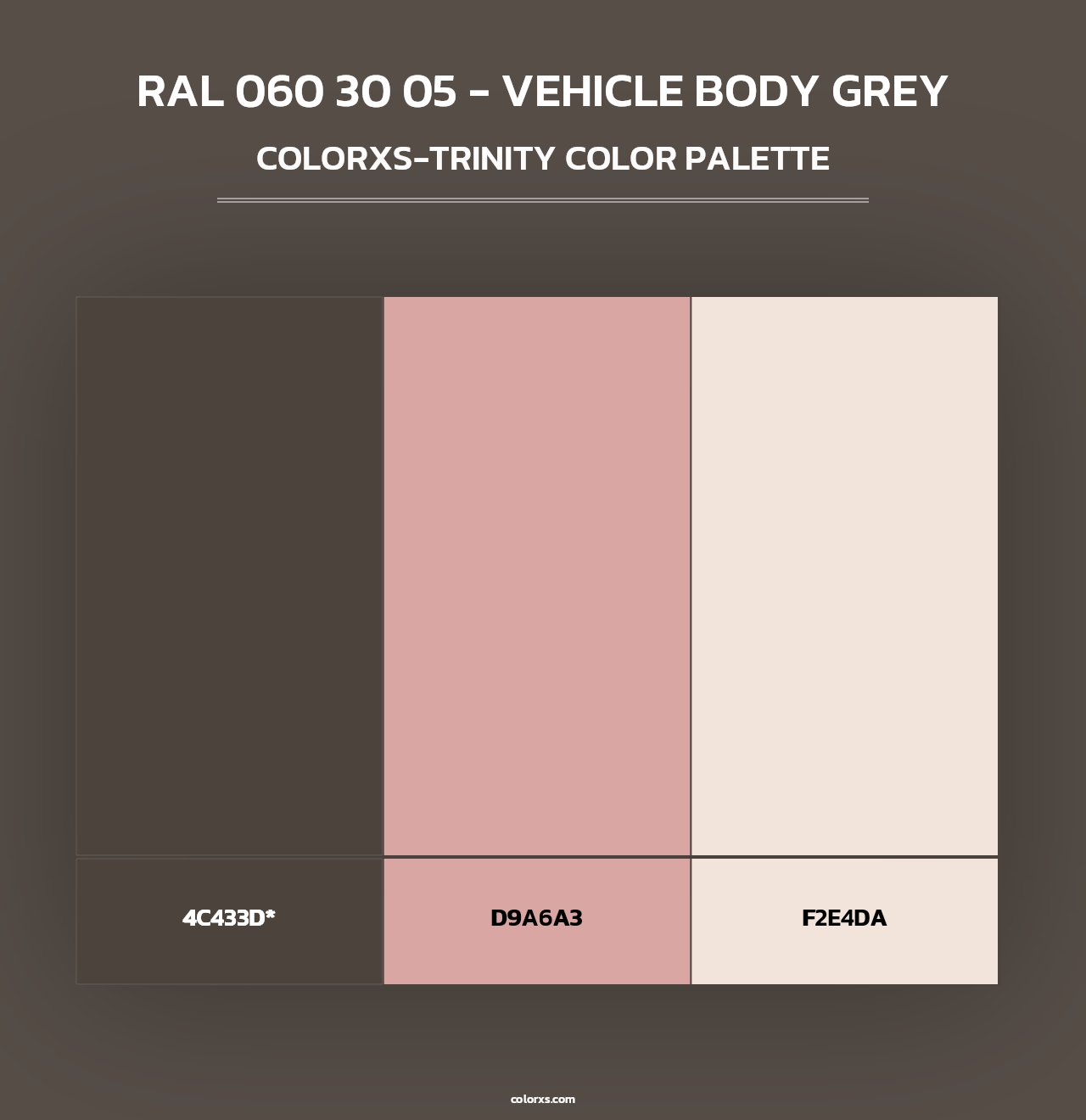 RAL 060 30 05 - Vehicle Body Grey - Colorxs Trinity Palette