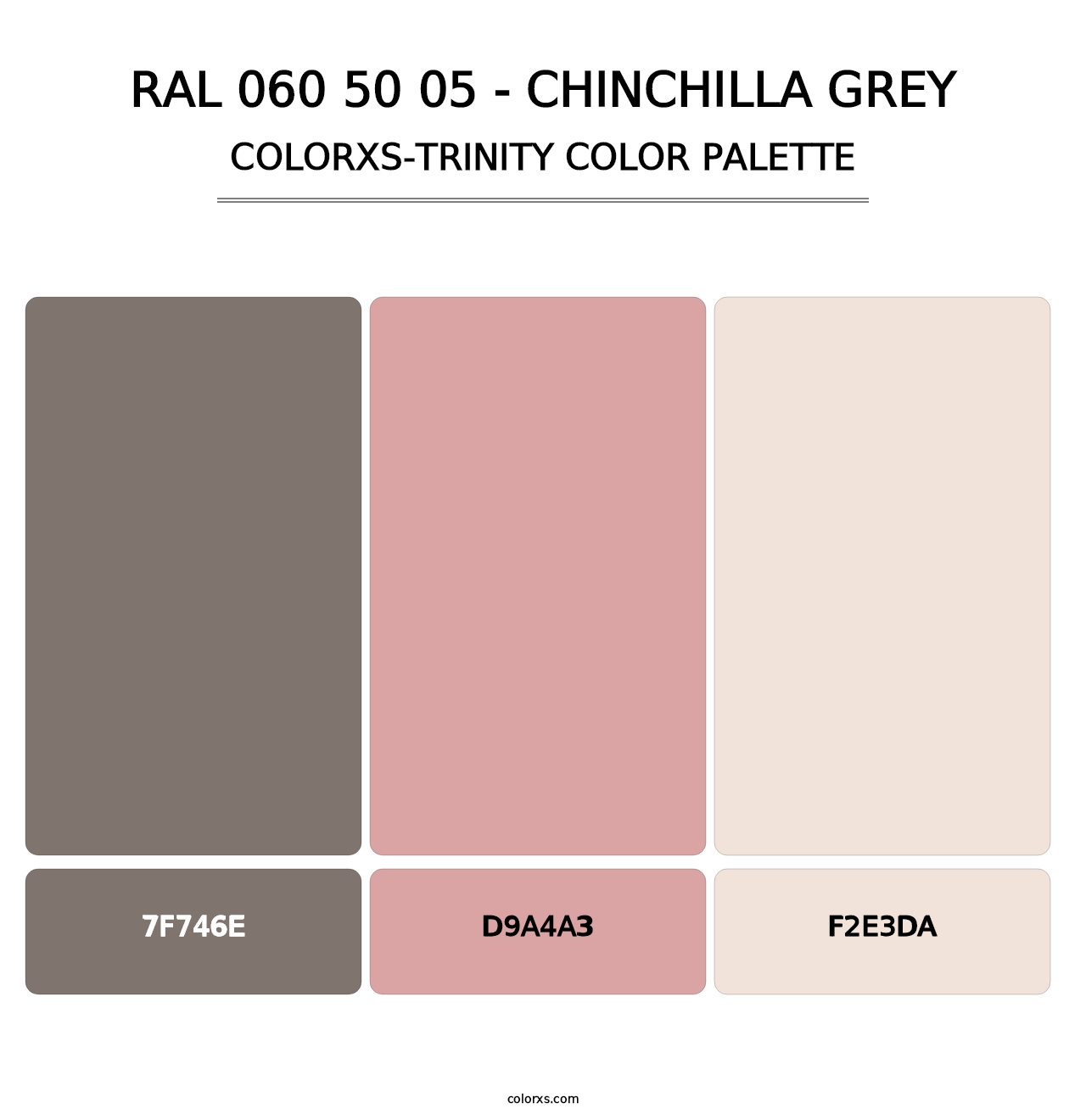 RAL 060 50 05 - Chinchilla Grey - Colorxs Trinity Palette