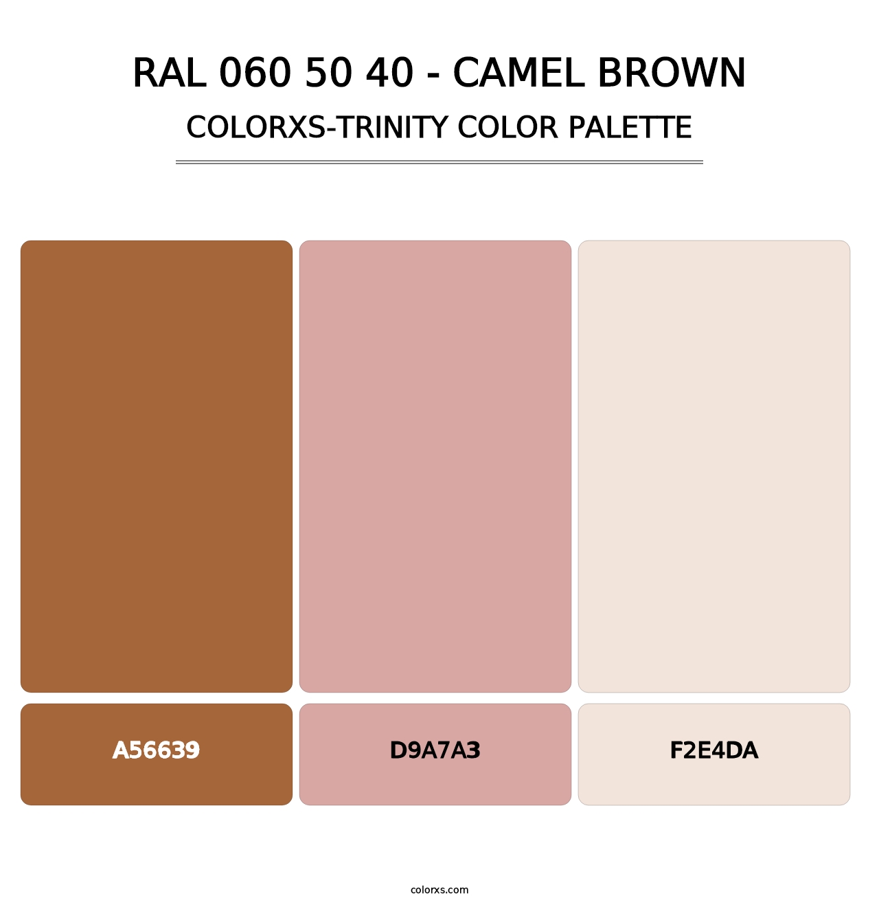 RAL 060 50 40 - Camel Brown - Colorxs Trinity Palette