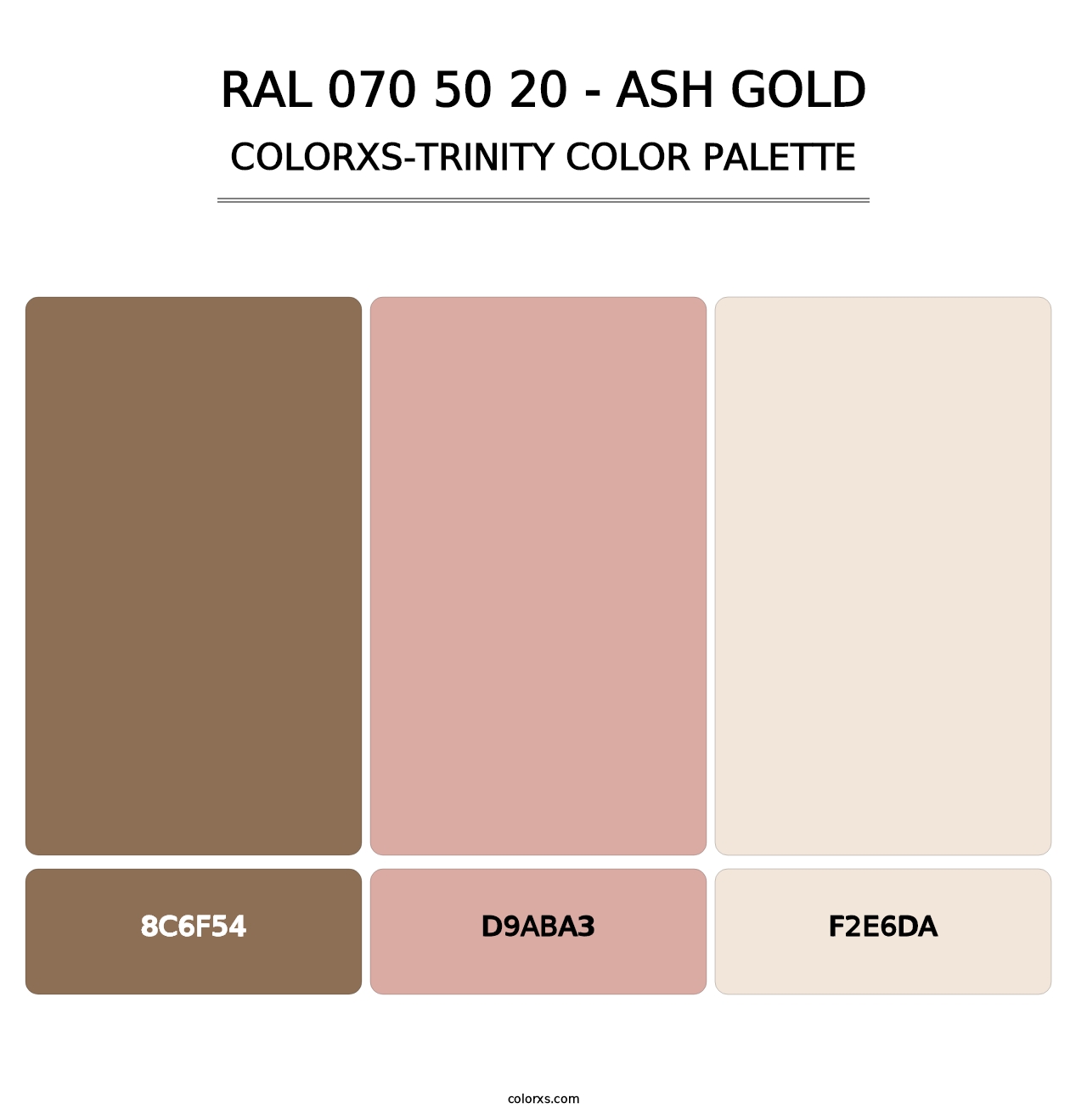 RAL 070 50 20 - Ash Gold - Colorxs Trinity Palette