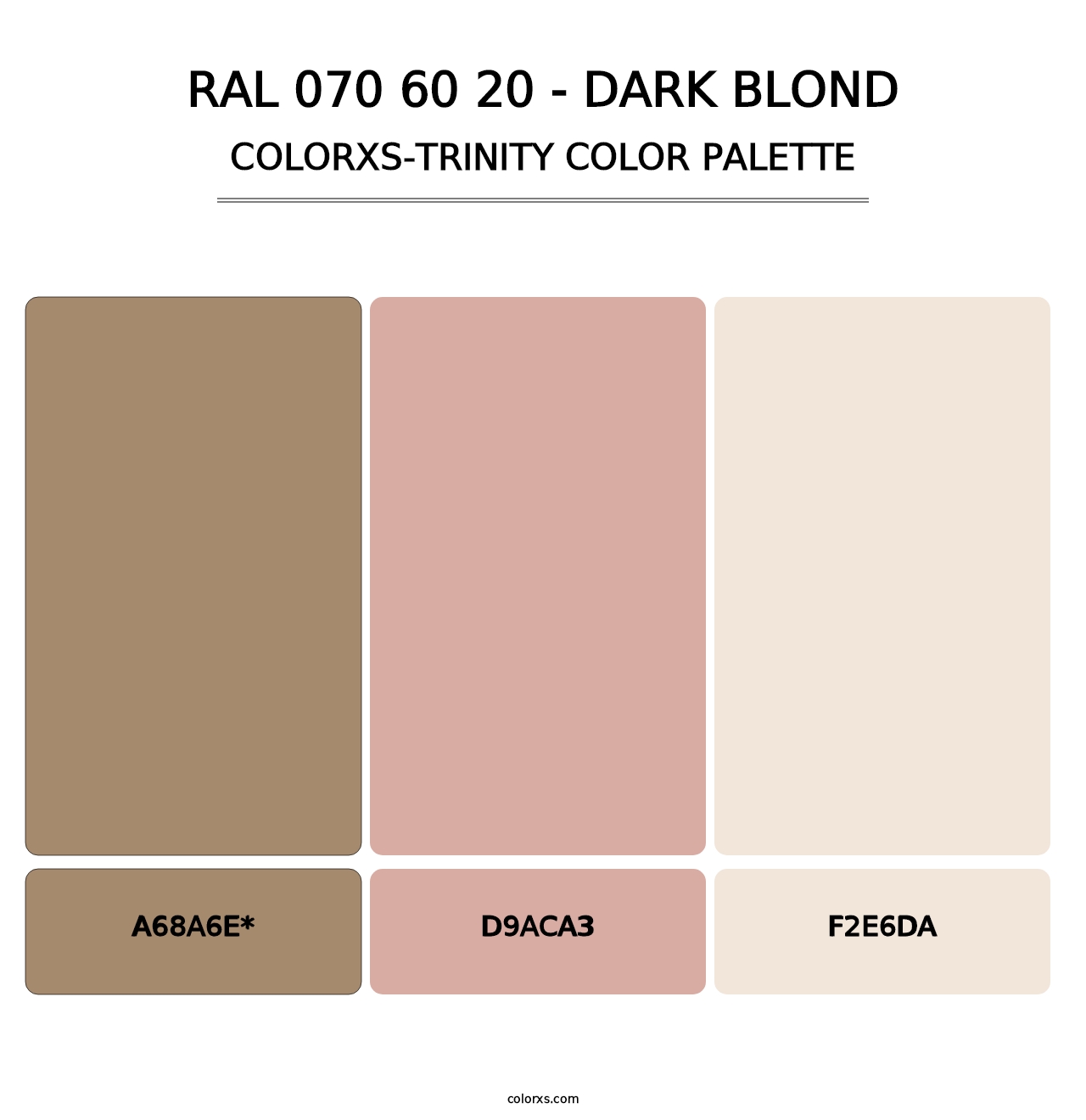 RAL 070 60 20 - Dark Blond - Colorxs Trinity Palette