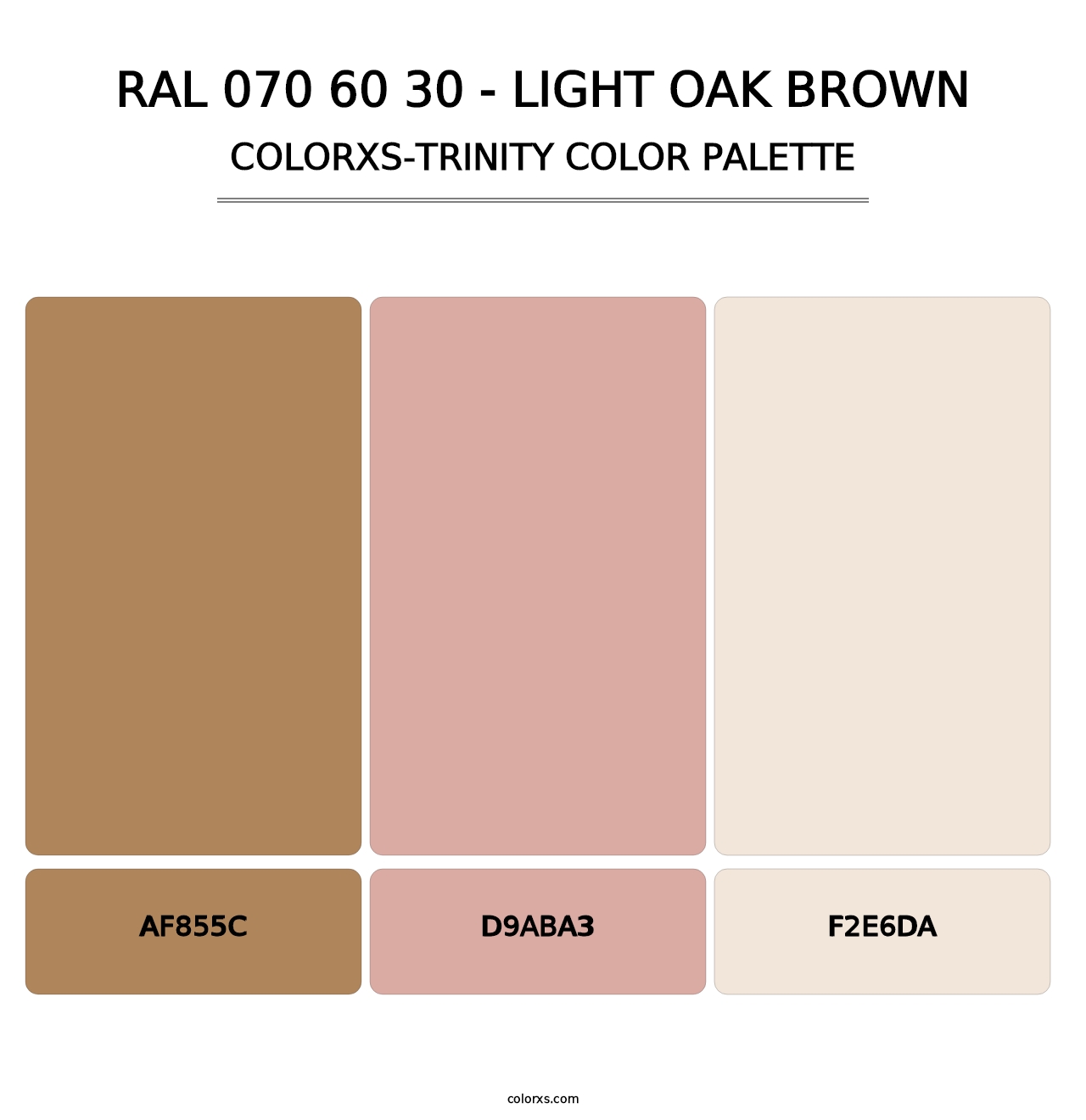RAL 070 60 30 - Light Oak Brown - Colorxs Trinity Palette