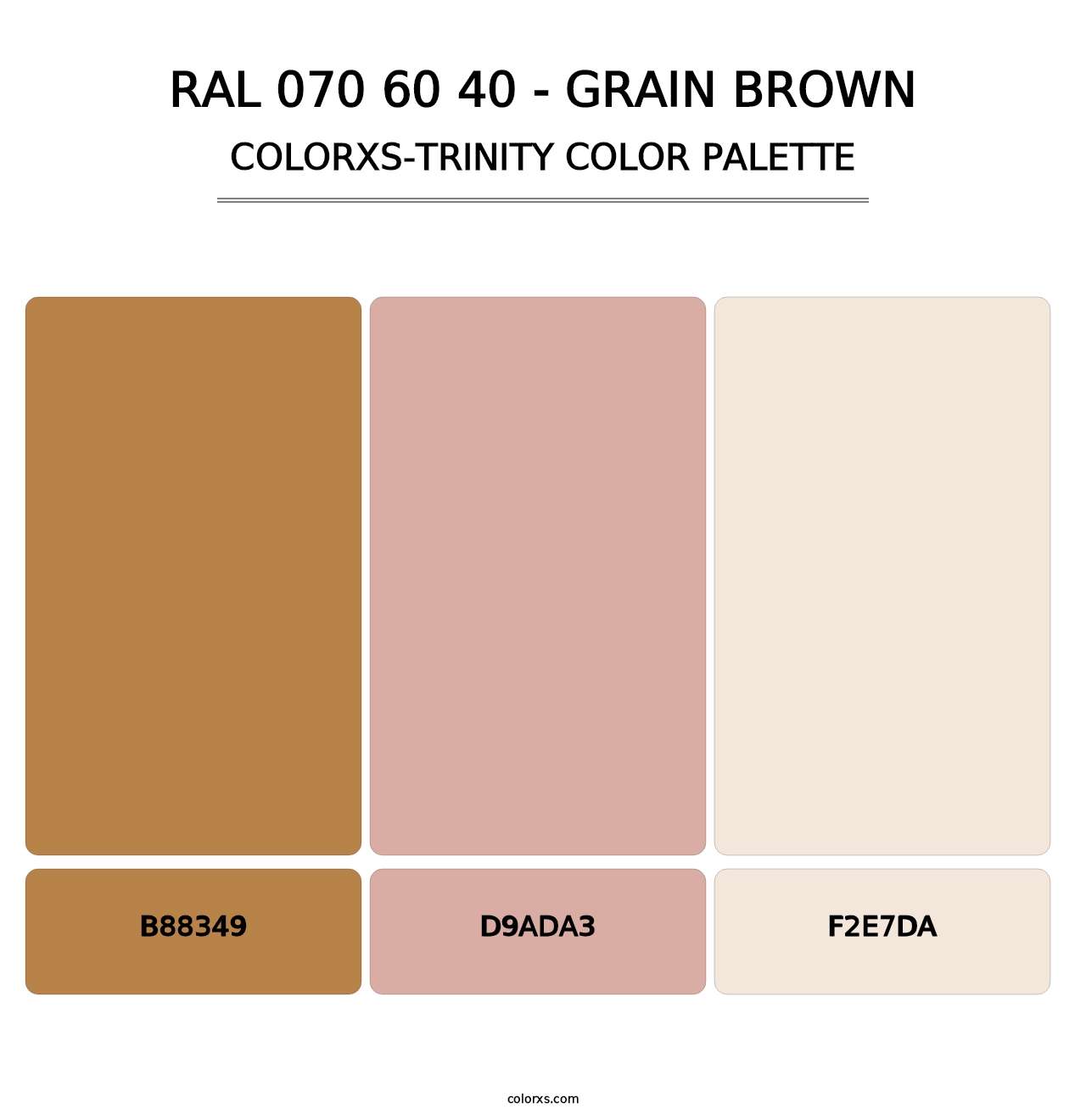 RAL 070 60 40 - Grain Brown - Colorxs Trinity Palette