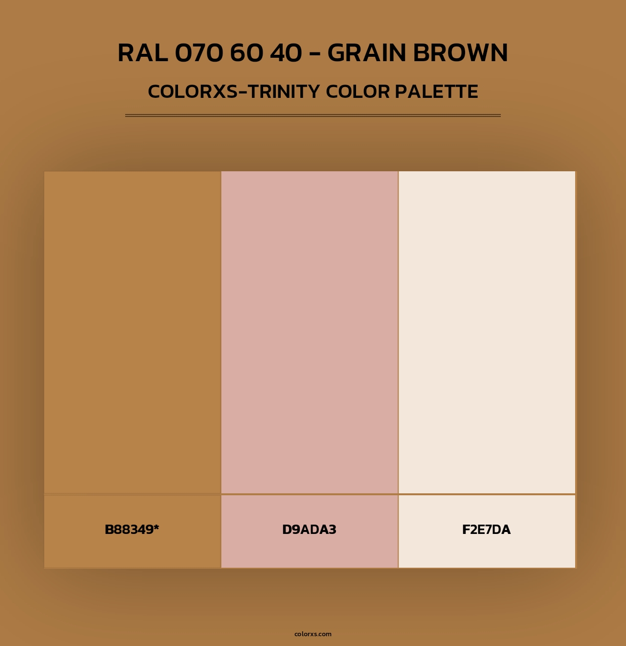 RAL 070 60 40 - Grain Brown - Colorxs Trinity Palette