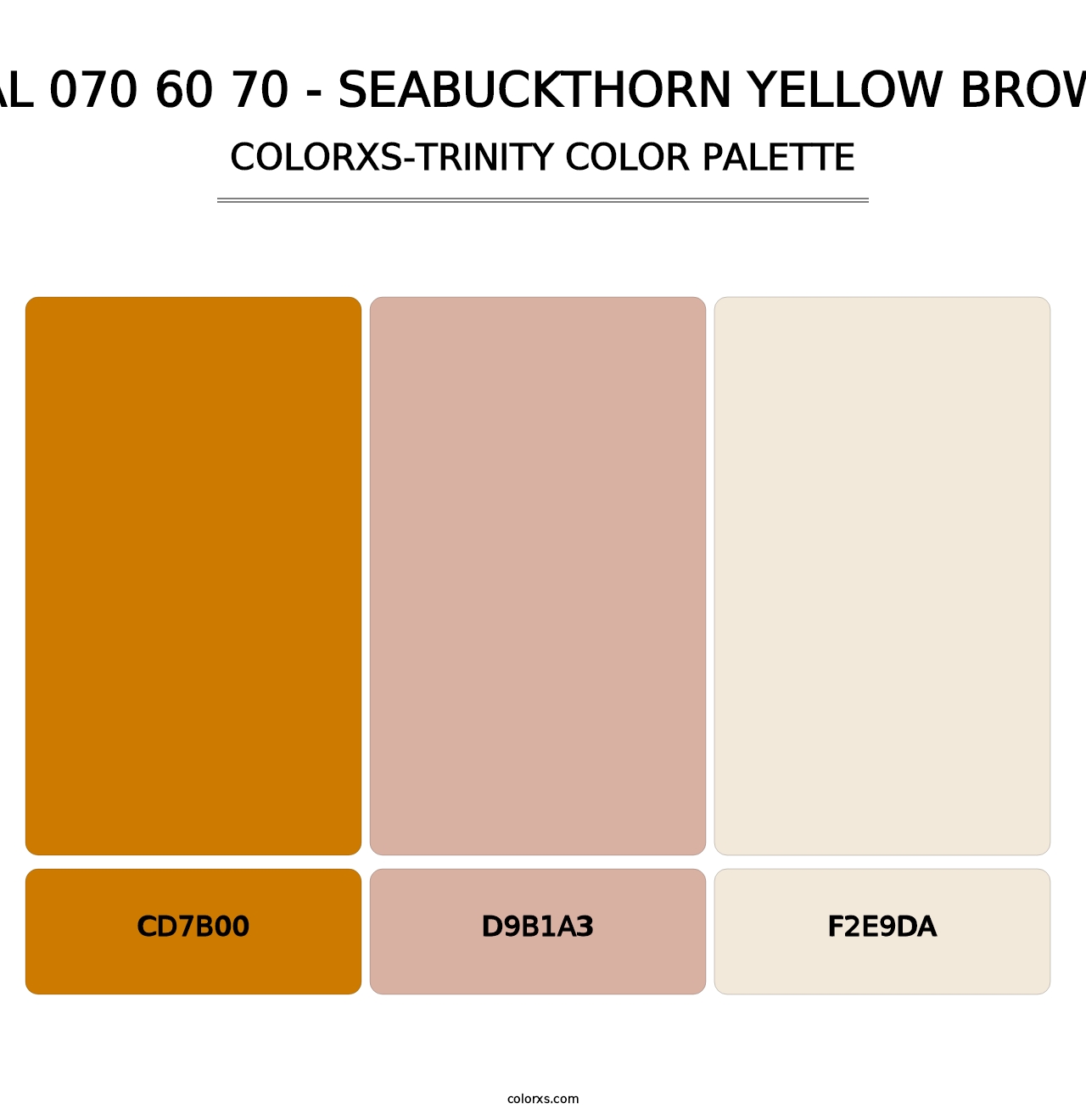 RAL 070 60 70 - Seabuckthorn Yellow Brown - Colorxs Trinity Palette