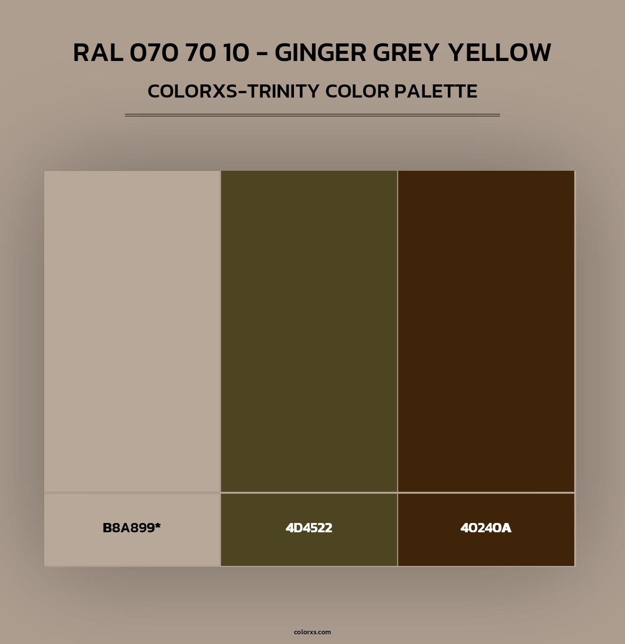 RAL 070 70 10 - Ginger Grey Yellow - Colorxs Trinity Palette