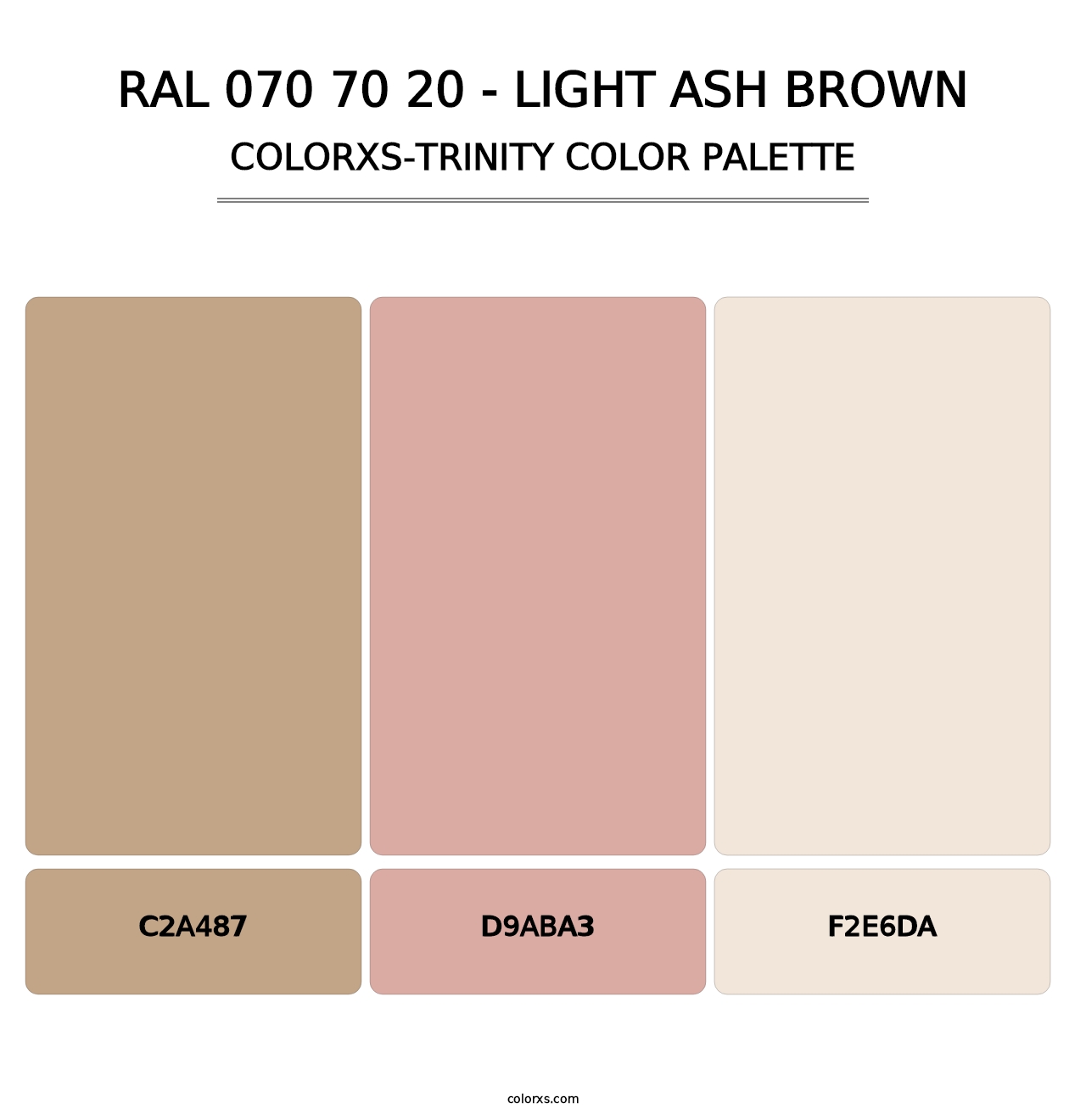 RAL 070 70 20 - Light Ash Brown - Colorxs Trinity Palette
