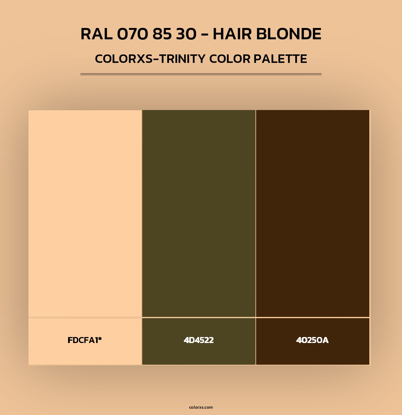 RAL 070 85 30 - Hair Blonde - Colorxs Trinity Palette