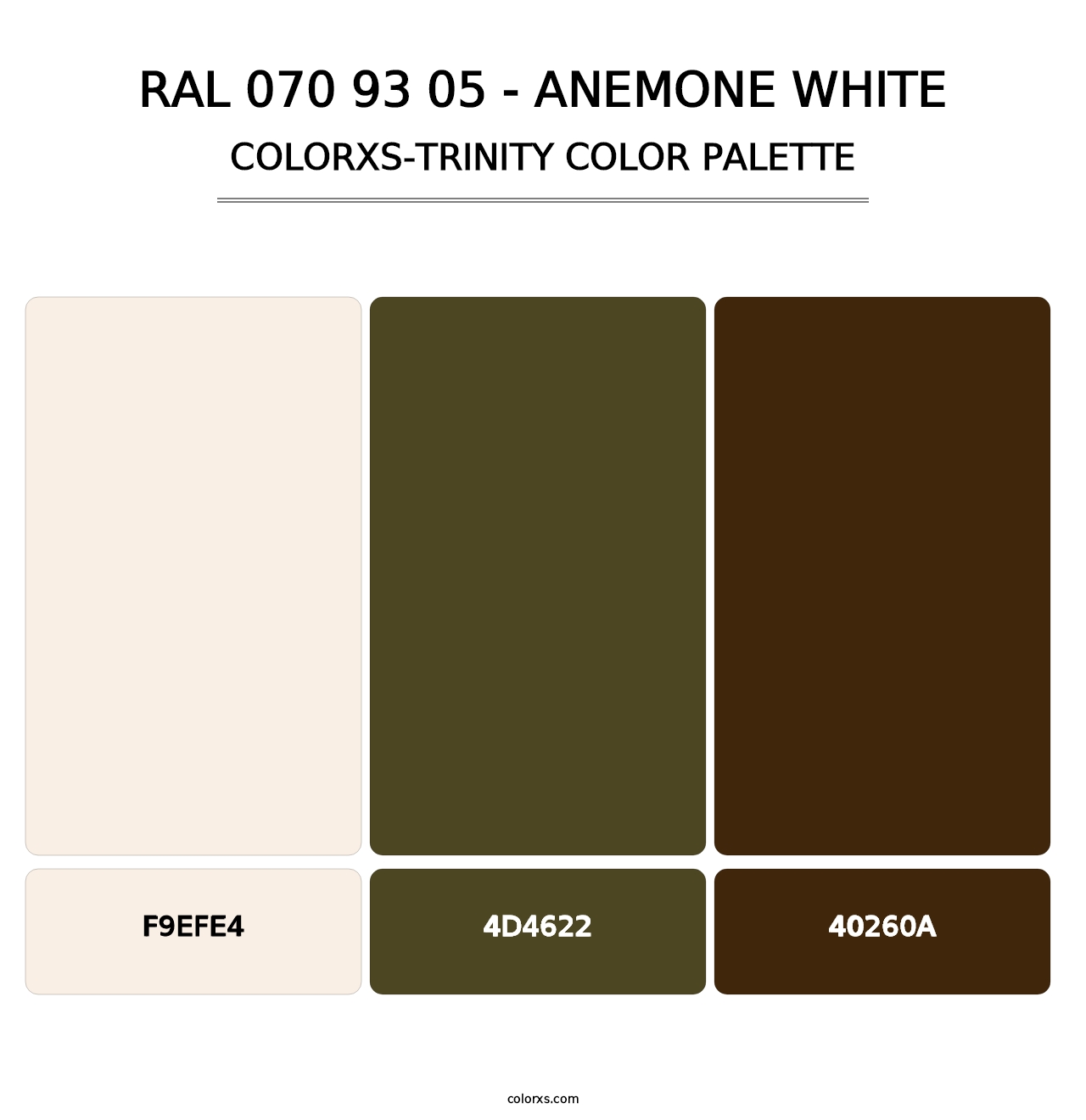 RAL 070 93 05 - Anemone White - Colorxs Trinity Palette