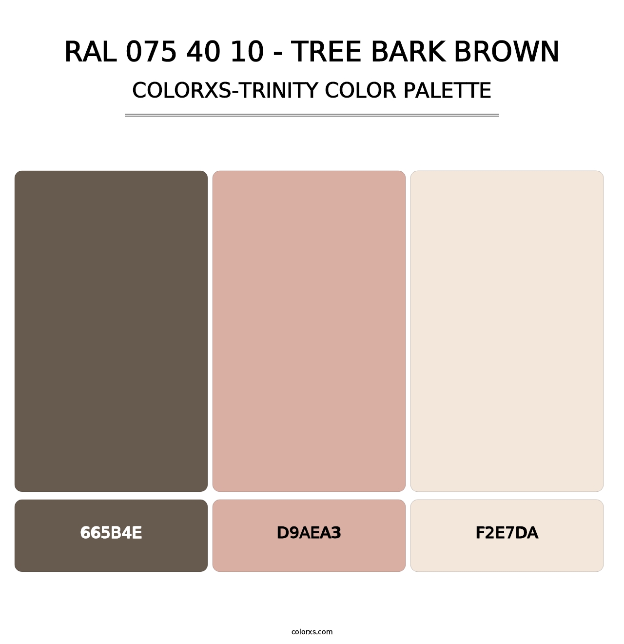 RAL 075 40 10 - Tree Bark Brown - Colorxs Trinity Palette