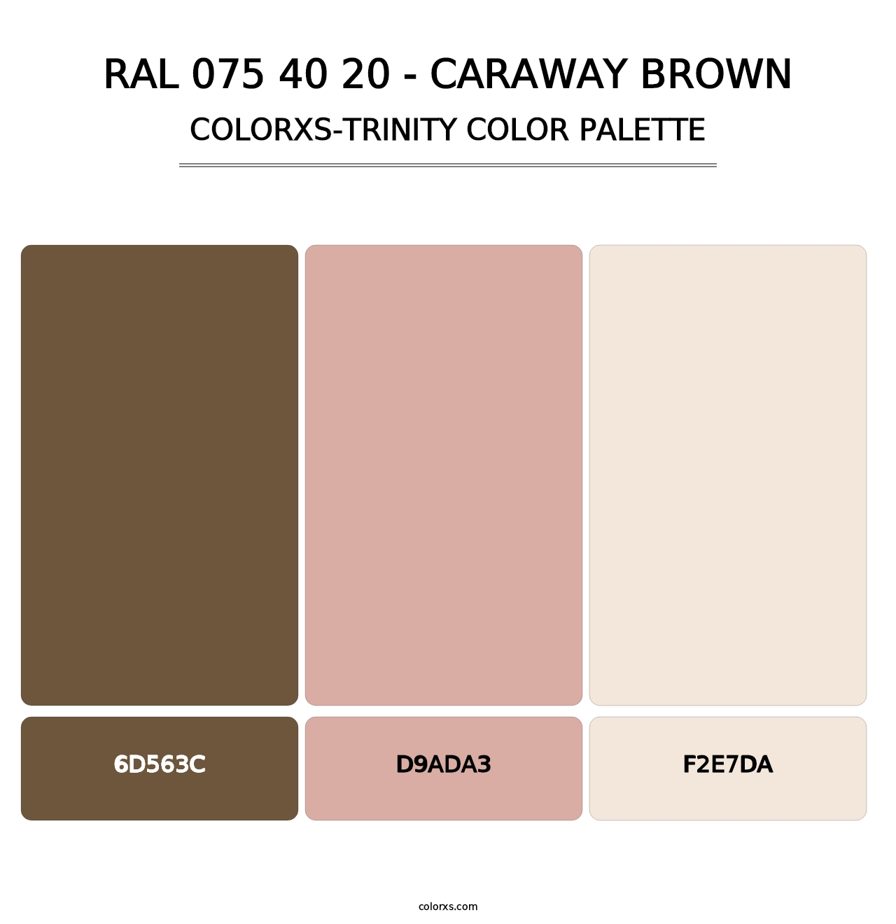 RAL 075 40 20 - Caraway Brown - Colorxs Trinity Palette