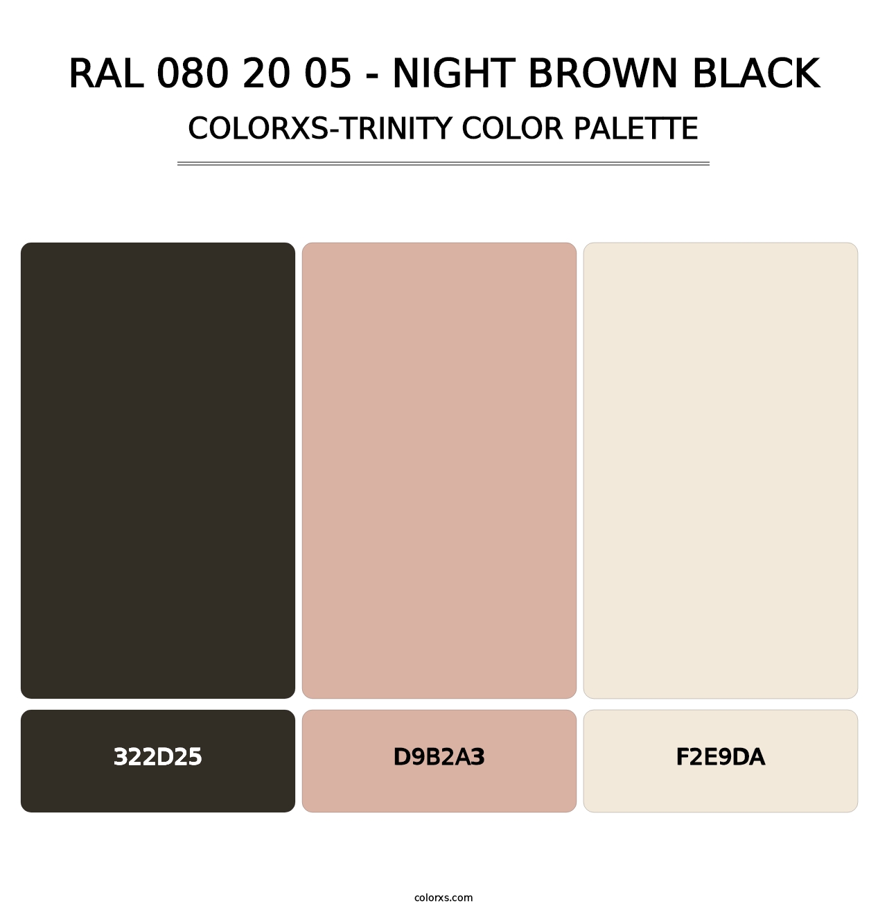 RAL 080 20 05 - Night Brown Black - Colorxs Trinity Palette