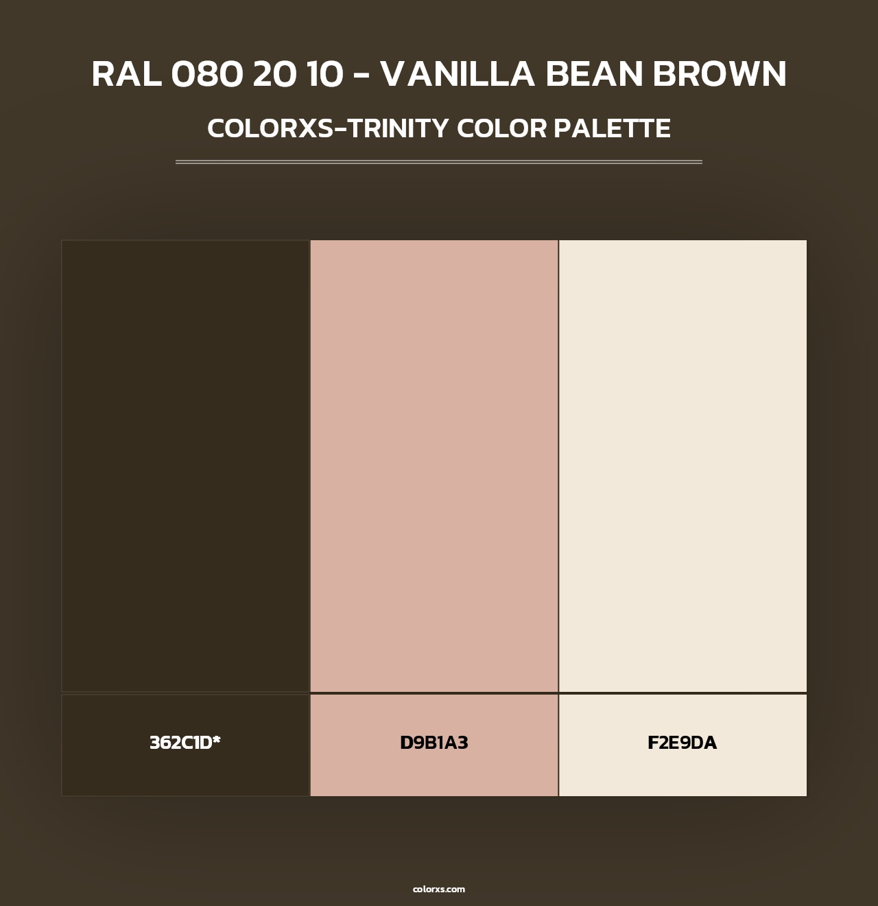 RAL 080 20 10 - Vanilla Bean Brown - Colorxs Trinity Palette