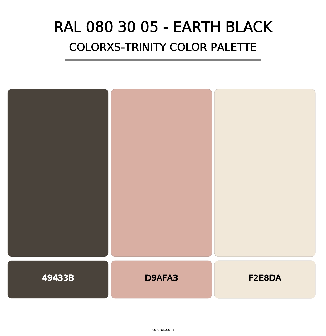 RAL 080 30 05 - Earth Black - Colorxs Trinity Palette