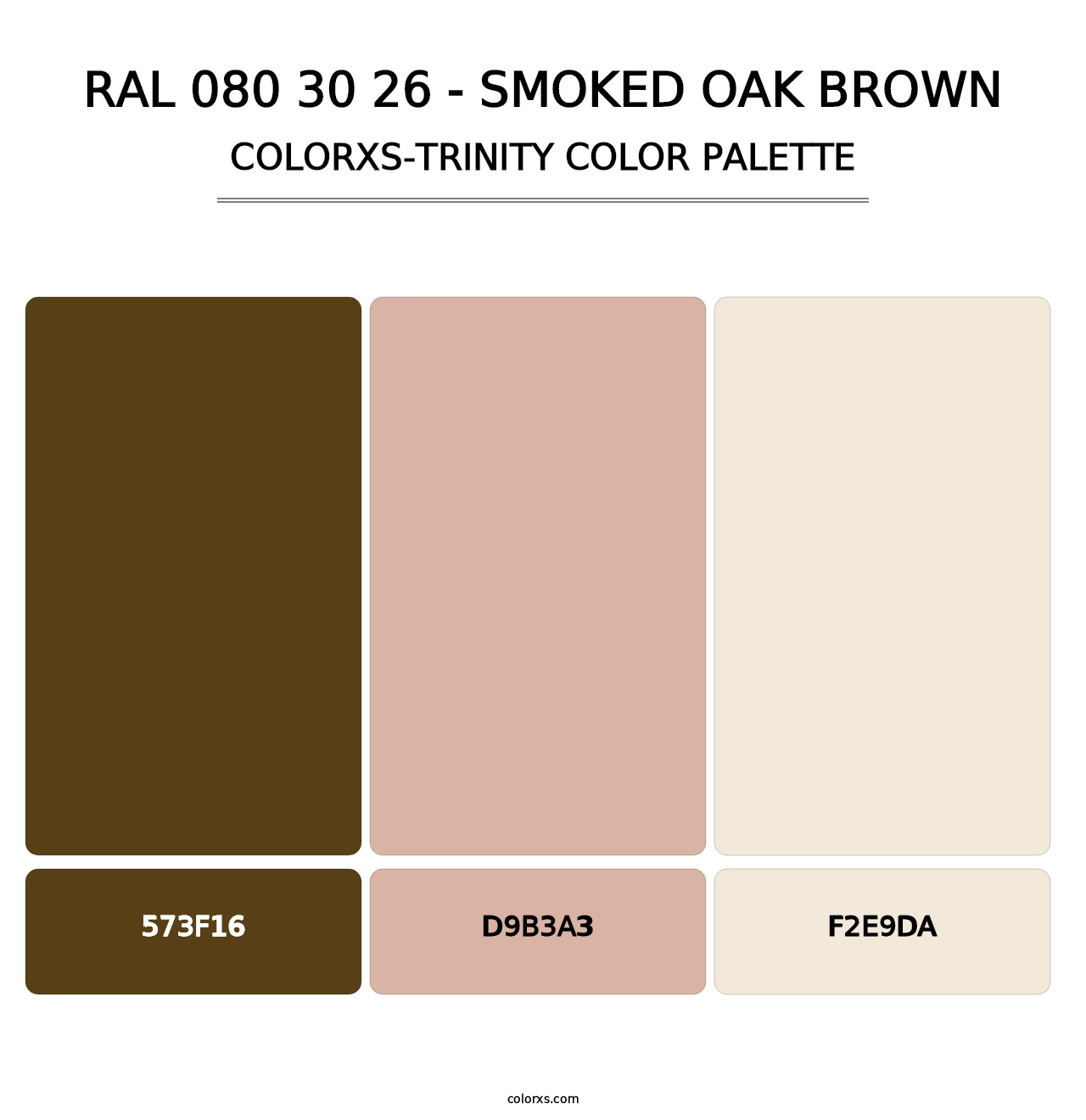 RAL 080 30 26 - Smoked Oak Brown - Colorxs Trinity Palette