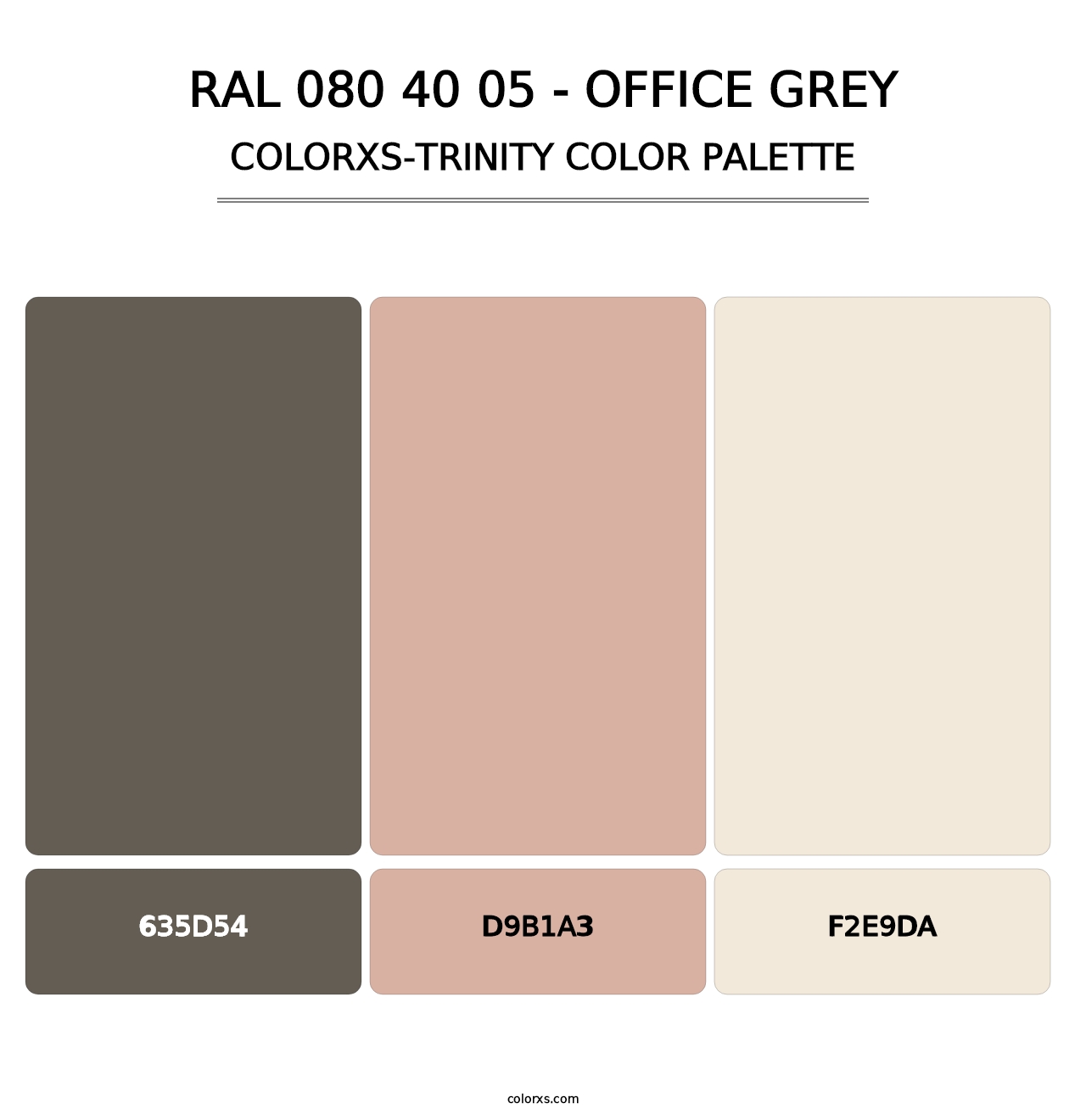 RAL 080 40 05 - Office Grey - Colorxs Trinity Palette