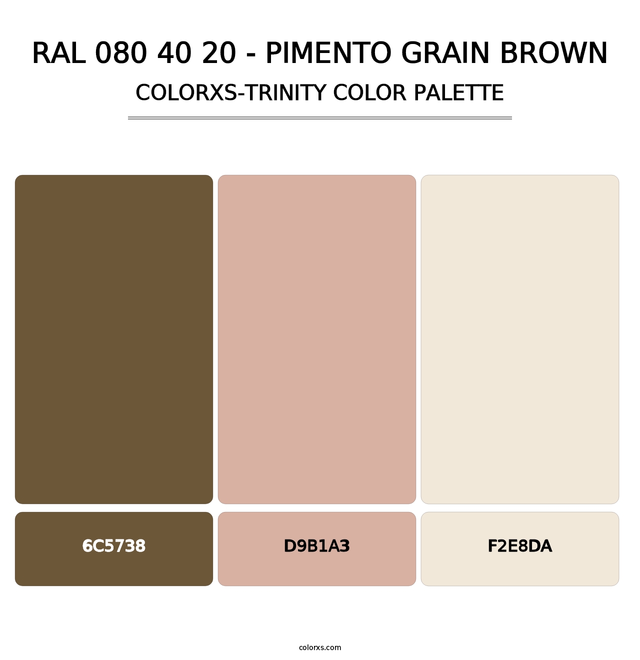 RAL 080 40 20 - Pimento Grain Brown - Colorxs Trinity Palette