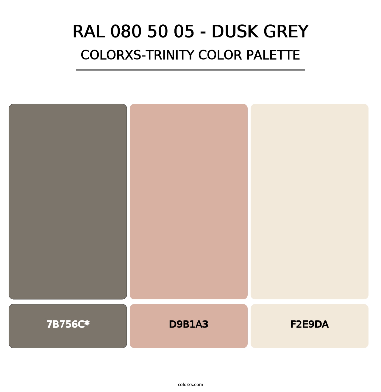 RAL 080 50 05 - Dusk Grey - Colorxs Trinity Palette