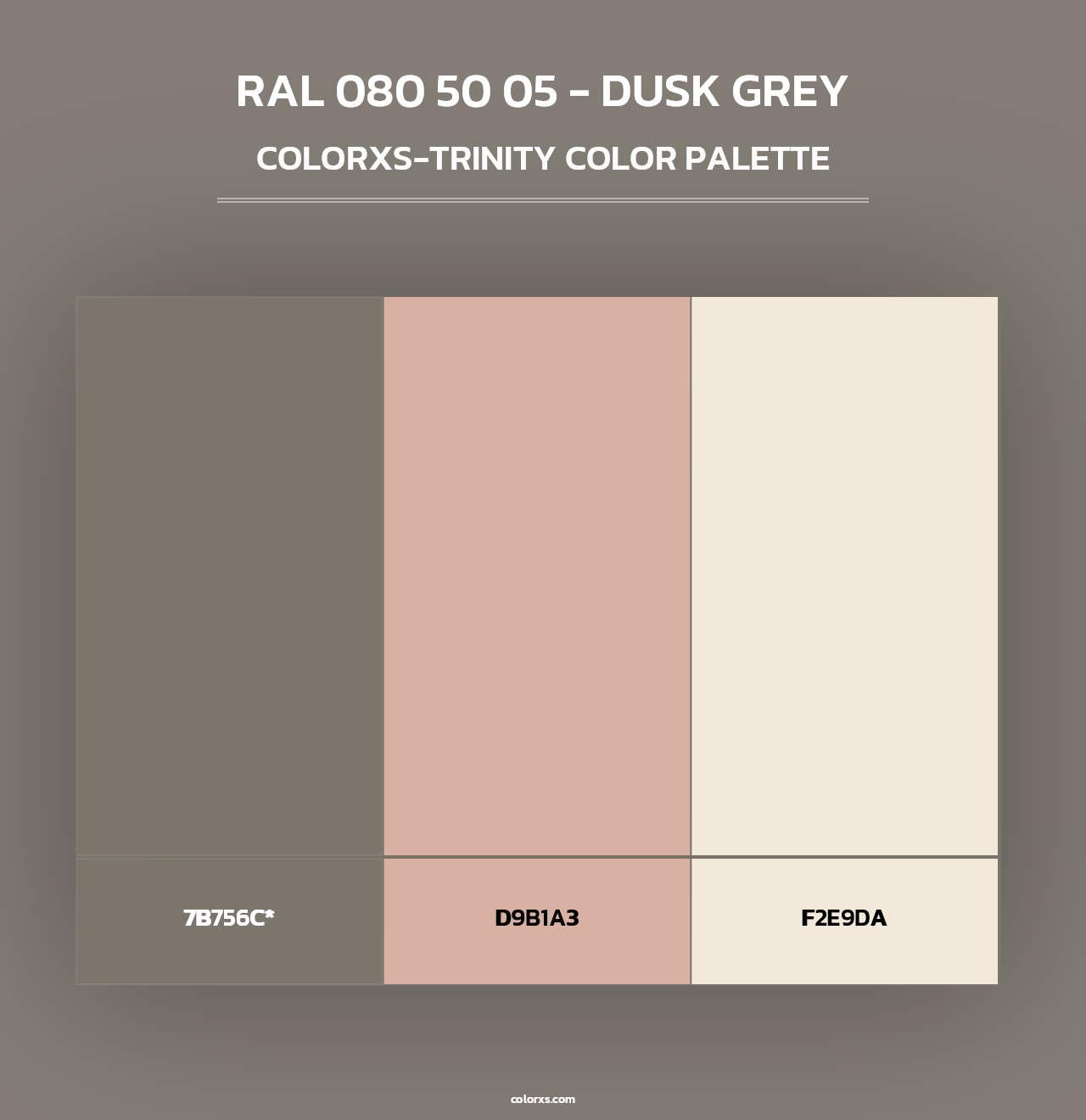 RAL 080 50 05 - Dusk Grey - Colorxs Trinity Palette