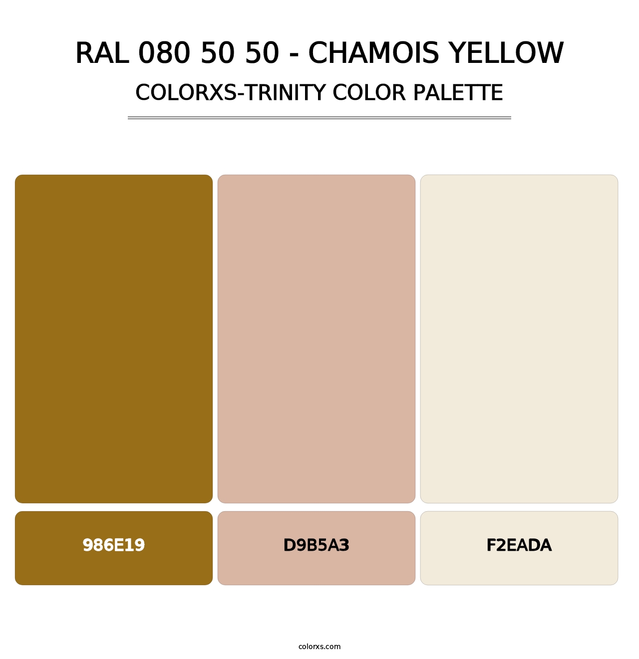 RAL 080 50 50 - Chamois Yellow - Colorxs Trinity Palette