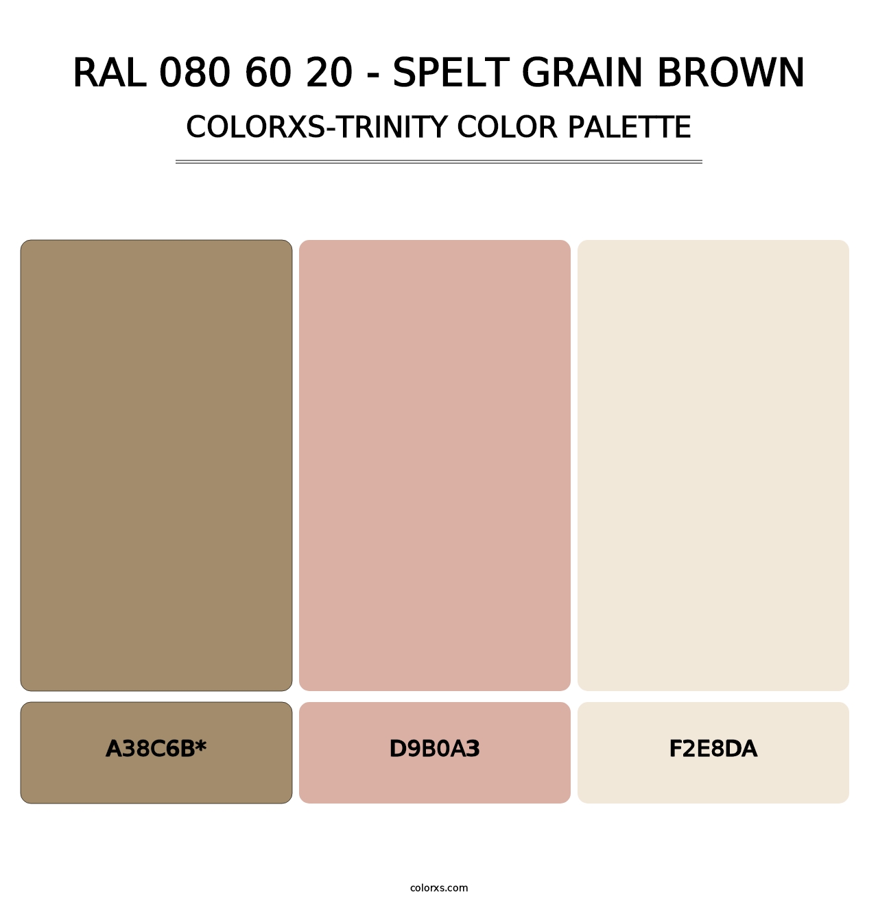 RAL 080 60 20 - Spelt Grain Brown - Colorxs Trinity Palette