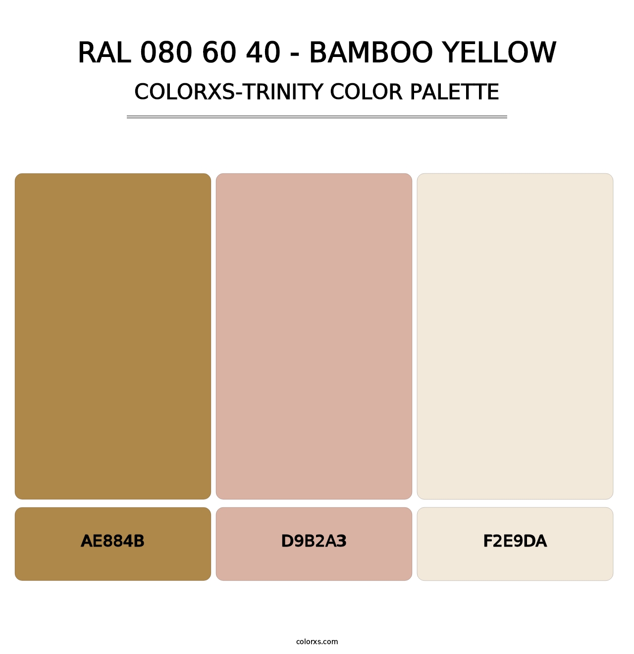 RAL 080 60 40 - Bamboo Yellow - Colorxs Trinity Palette