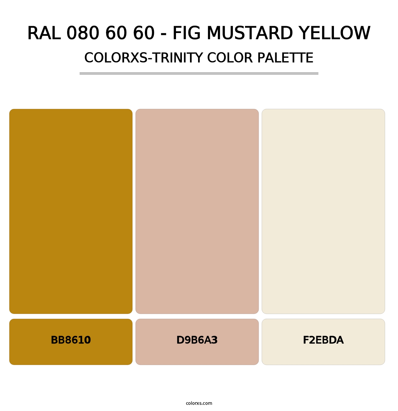RAL 080 60 60 - Fig Mustard Yellow - Colorxs Trinity Palette