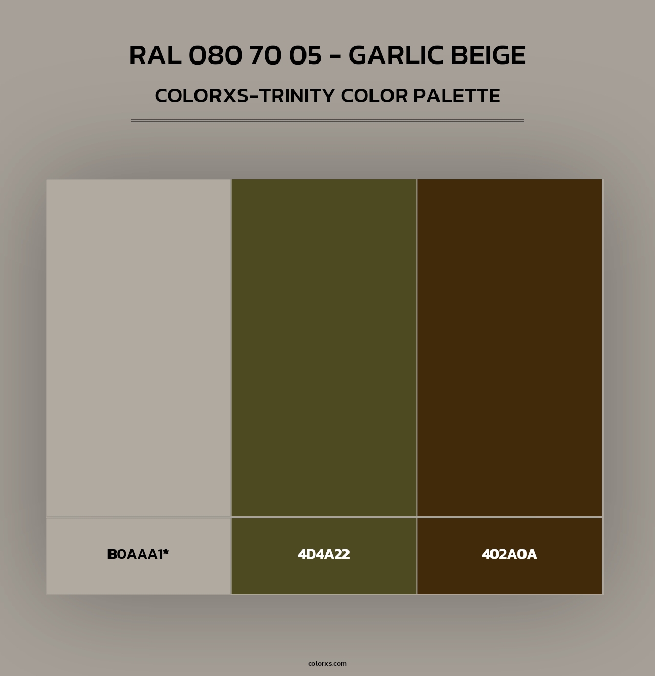 RAL 080 70 05 - Garlic Beige - Colorxs Trinity Palette