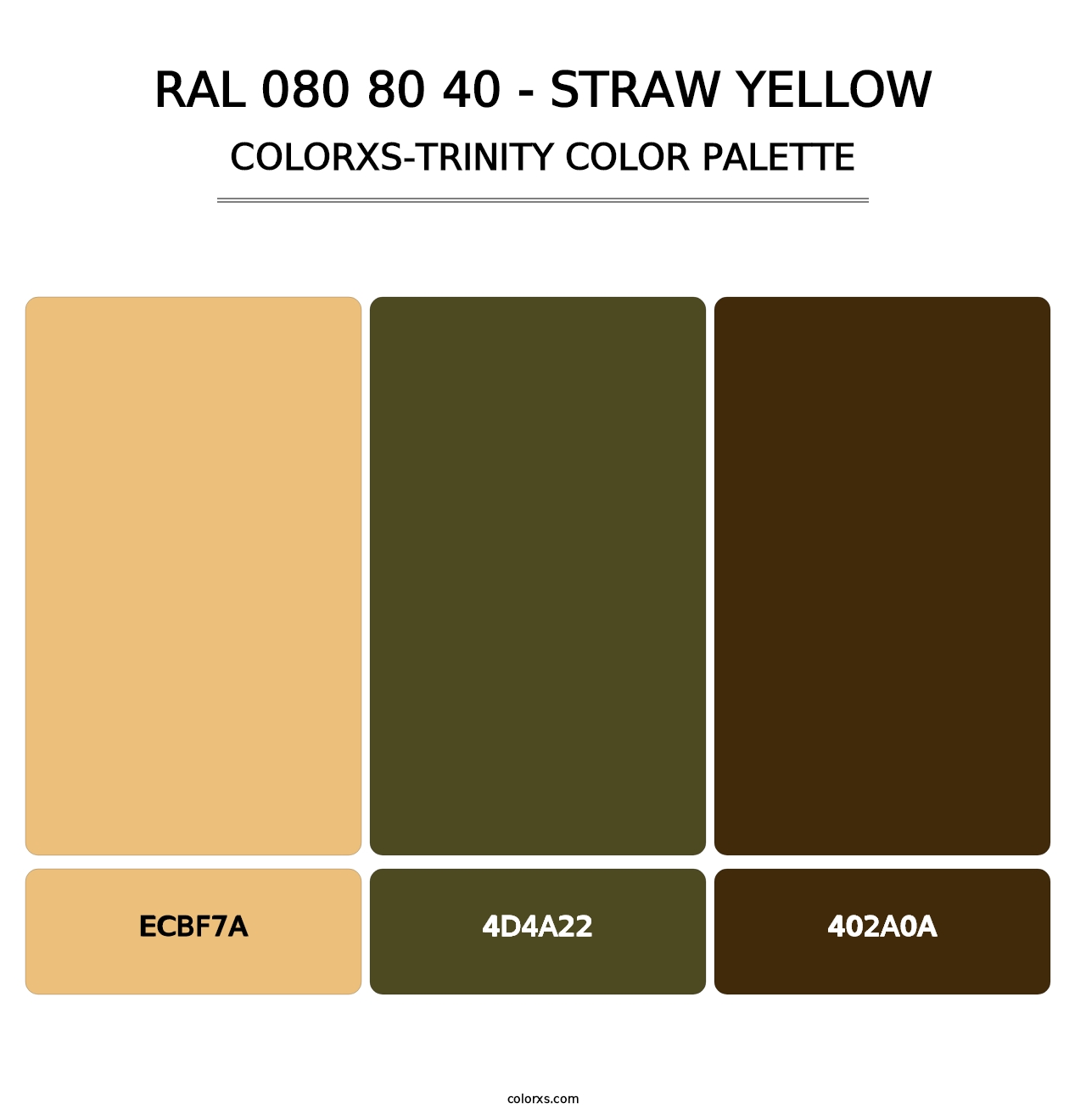 RAL 080 80 40 - Straw Yellow - Colorxs Trinity Palette