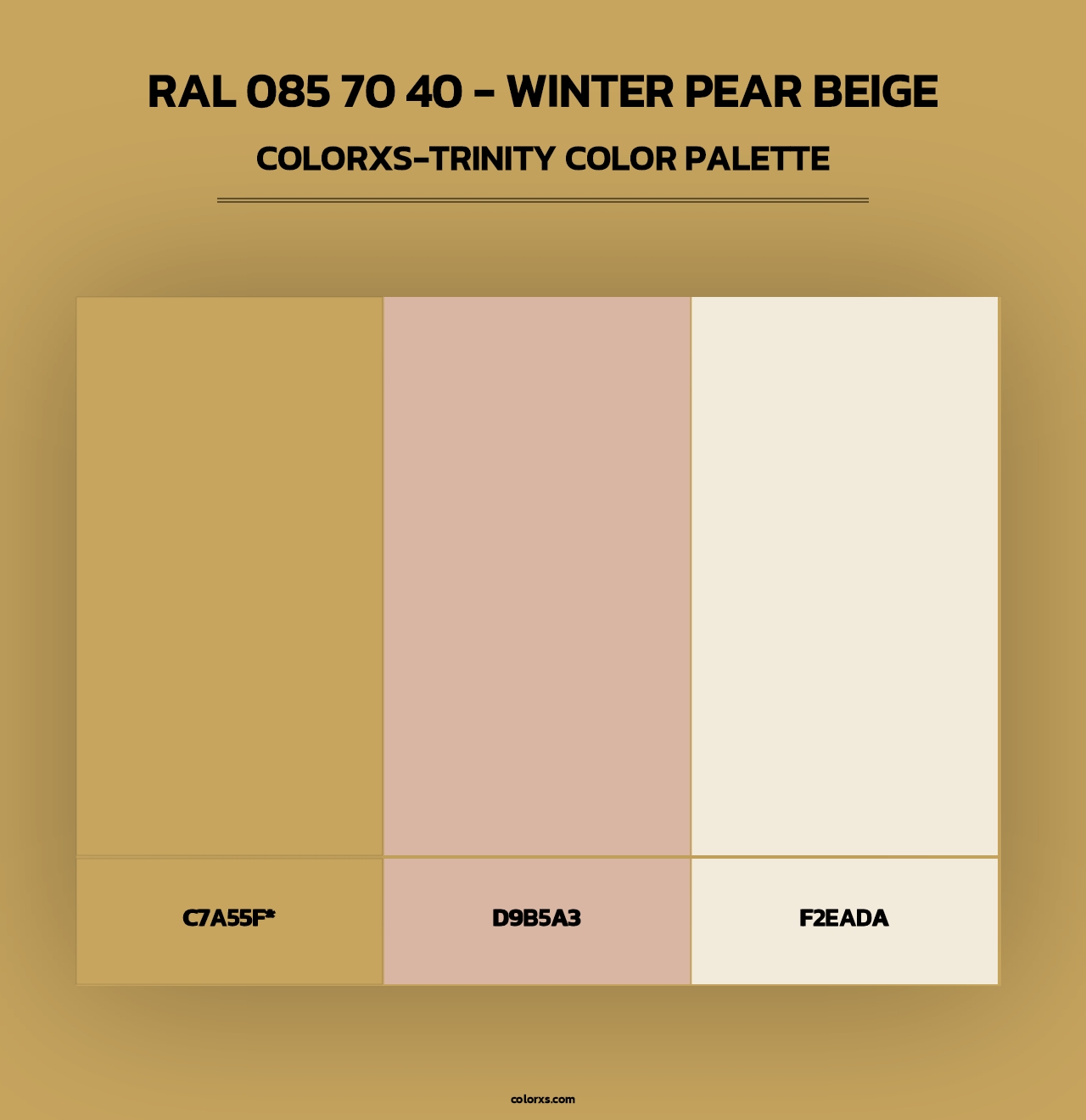 RAL 085 70 40 - Winter Pear Beige - Colorxs Trinity Palette