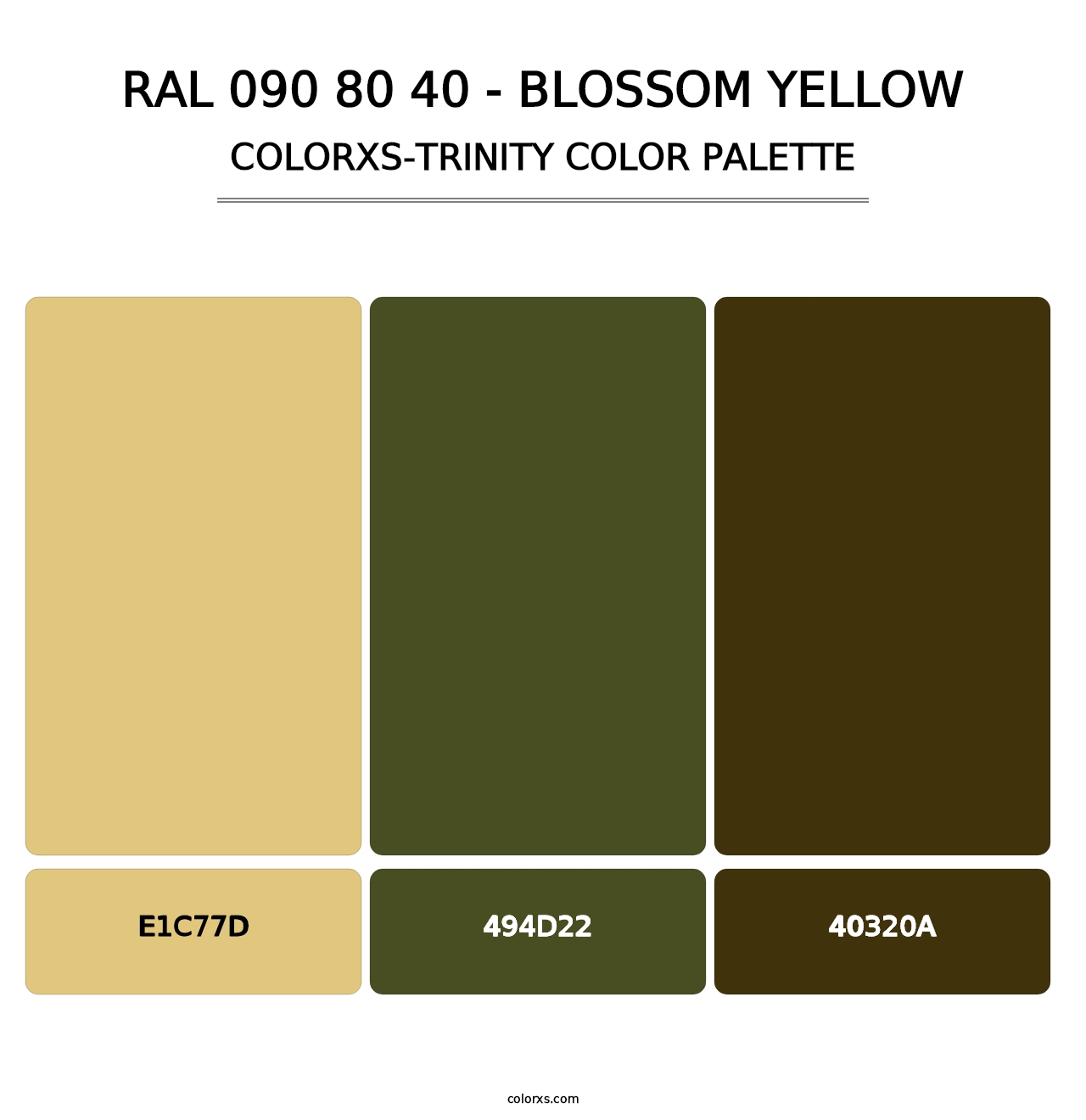 RAL 090 80 40 - Blossom Yellow - Colorxs Trinity Palette