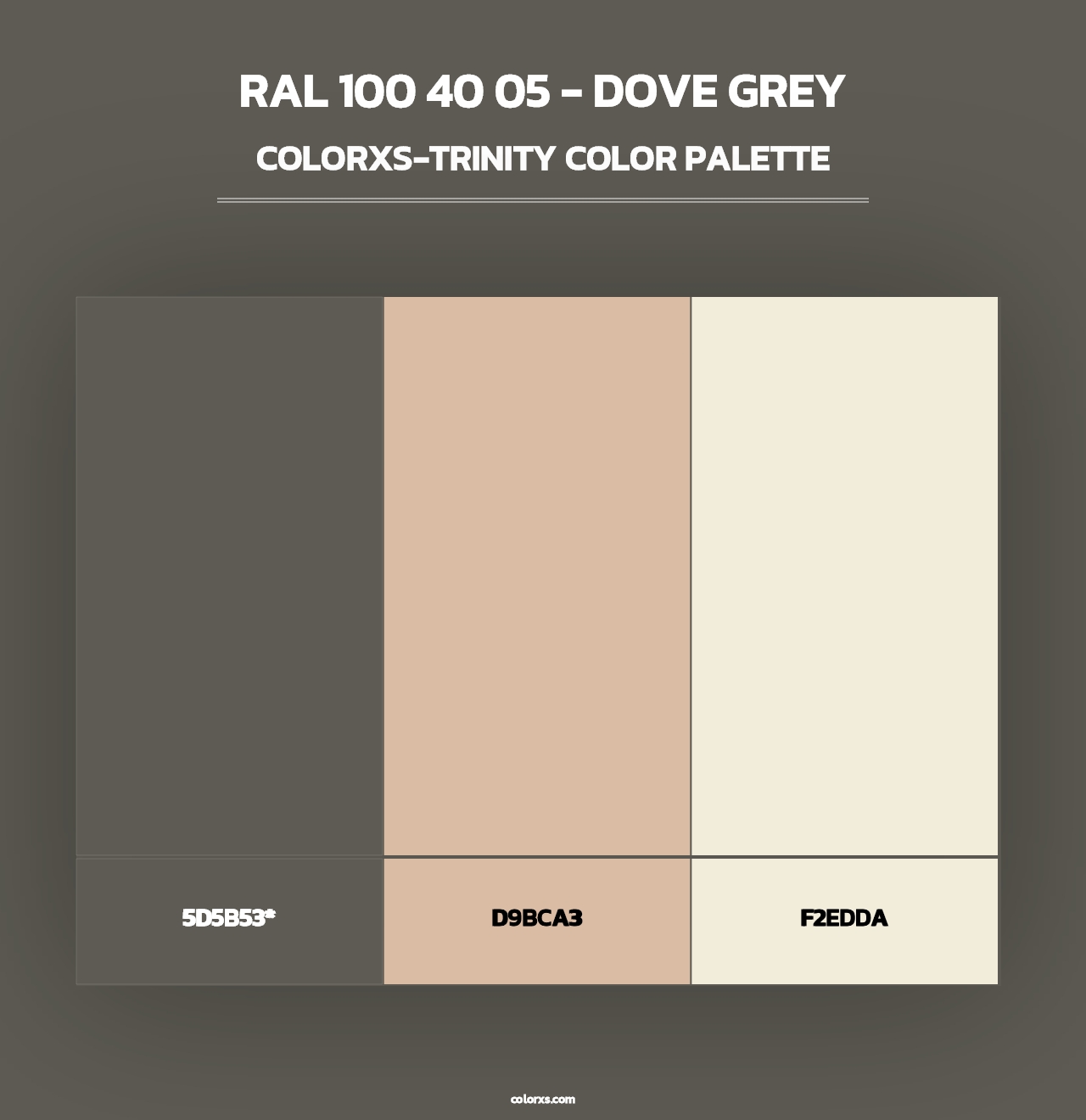 RAL 100 40 05 - Dove Grey - Colorxs Trinity Palette