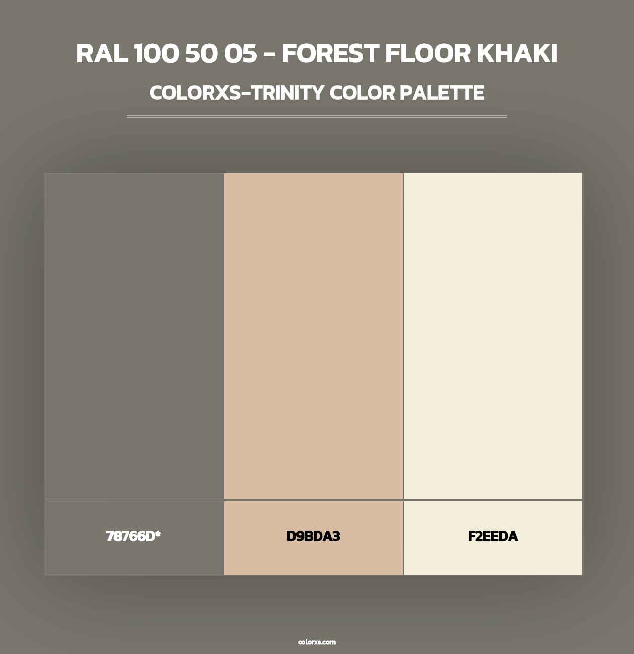 RAL 100 50 05 - Forest Floor Khaki - Colorxs Trinity Palette
