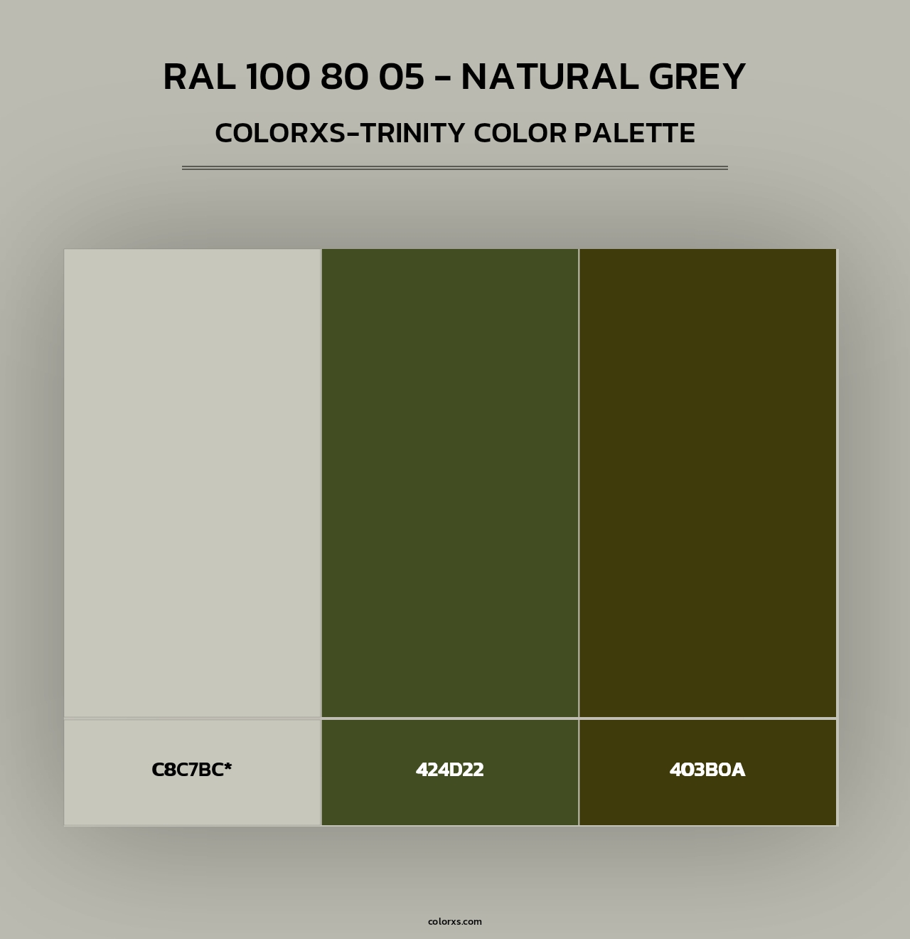 RAL 100 80 05 - Natural Grey - Colorxs Trinity Palette