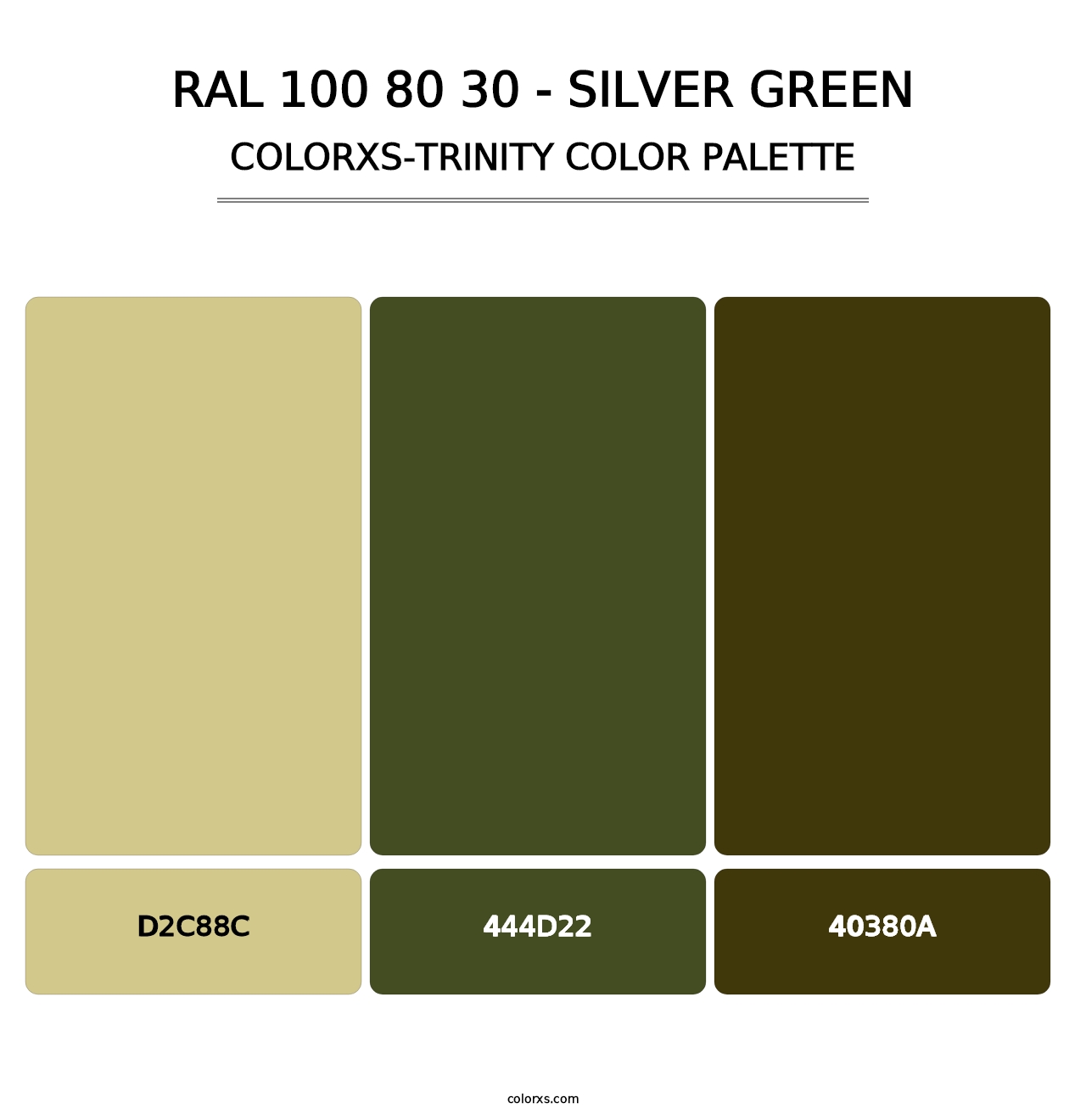 RAL 100 80 30 - Silver Green - Colorxs Trinity Palette