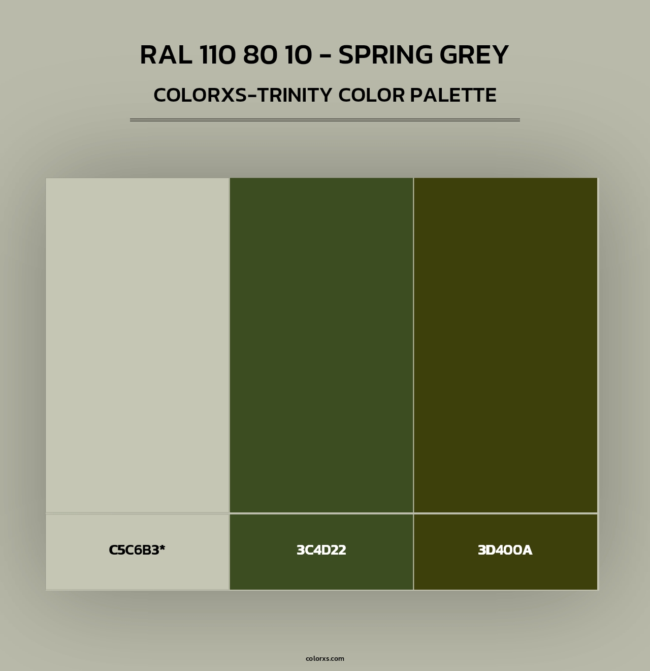 RAL 110 80 10 - Spring Grey - Colorxs Trinity Palette