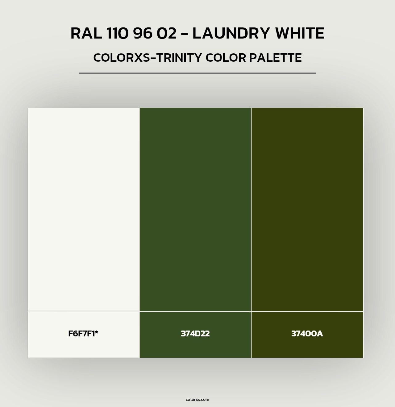 RAL 110 96 02 - Laundry White - Colorxs Trinity Palette