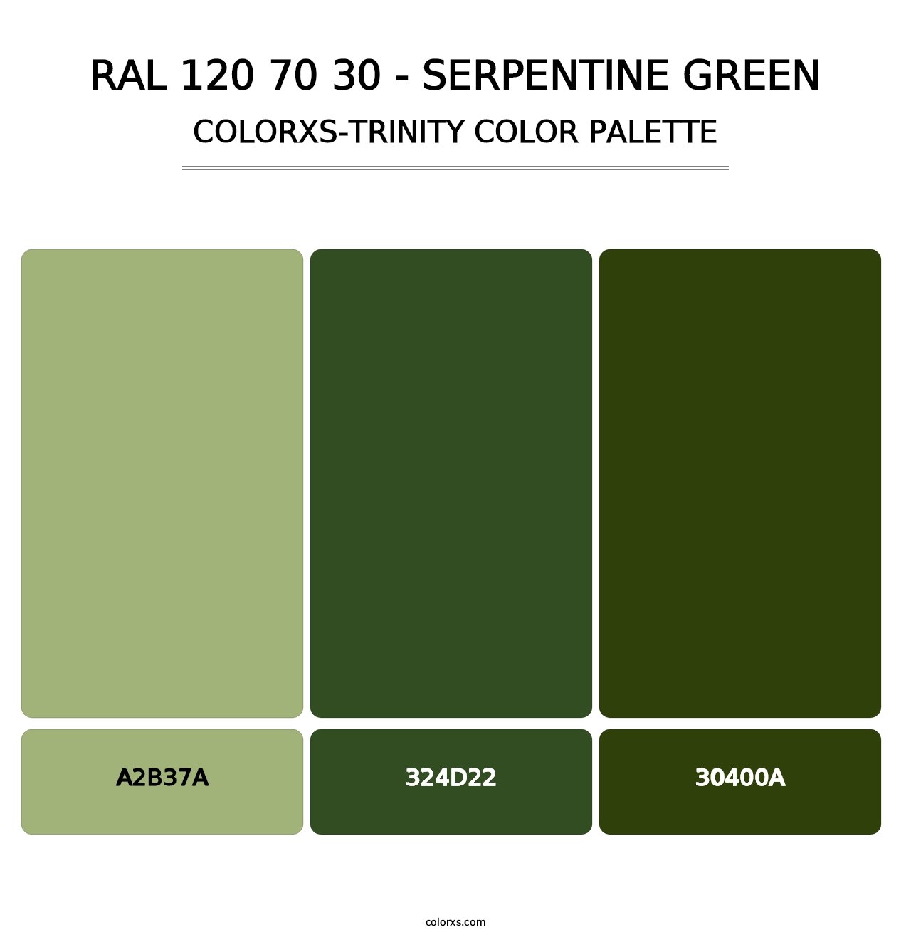 RAL 120 70 30 - Serpentine Green - Colorxs Trinity Palette