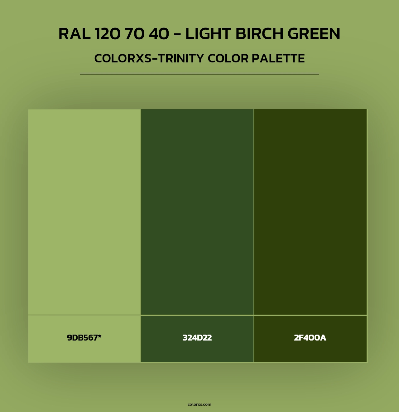 RAL 120 70 40 - Light Birch Green - Colorxs Trinity Palette